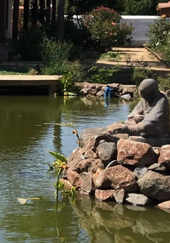 Garden in Hotel Boutique BC Wine Casablanca