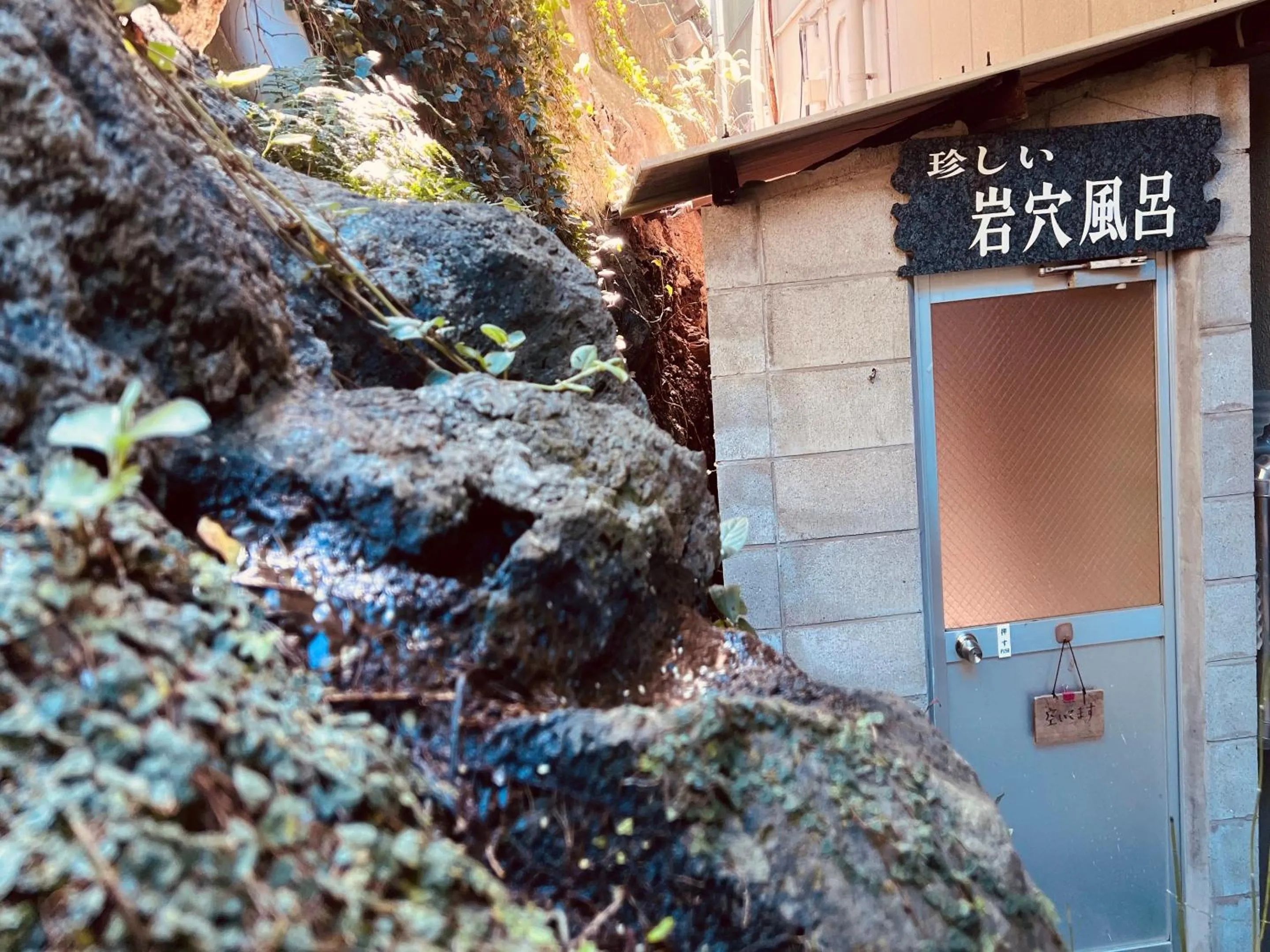 Hot Spring Bath in Ichifukuso
