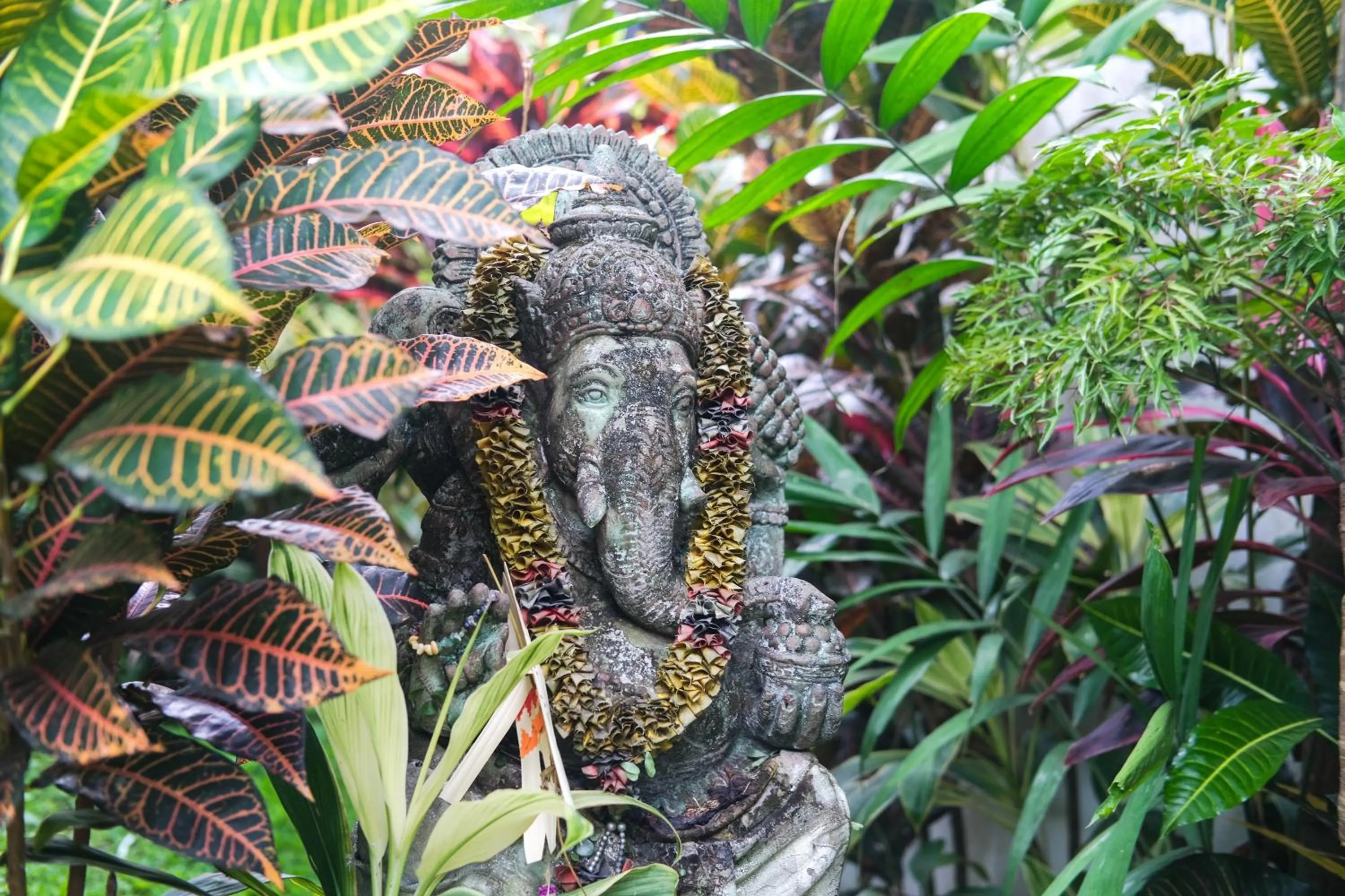 Garden in Villa Tirtha Amertha Ubud