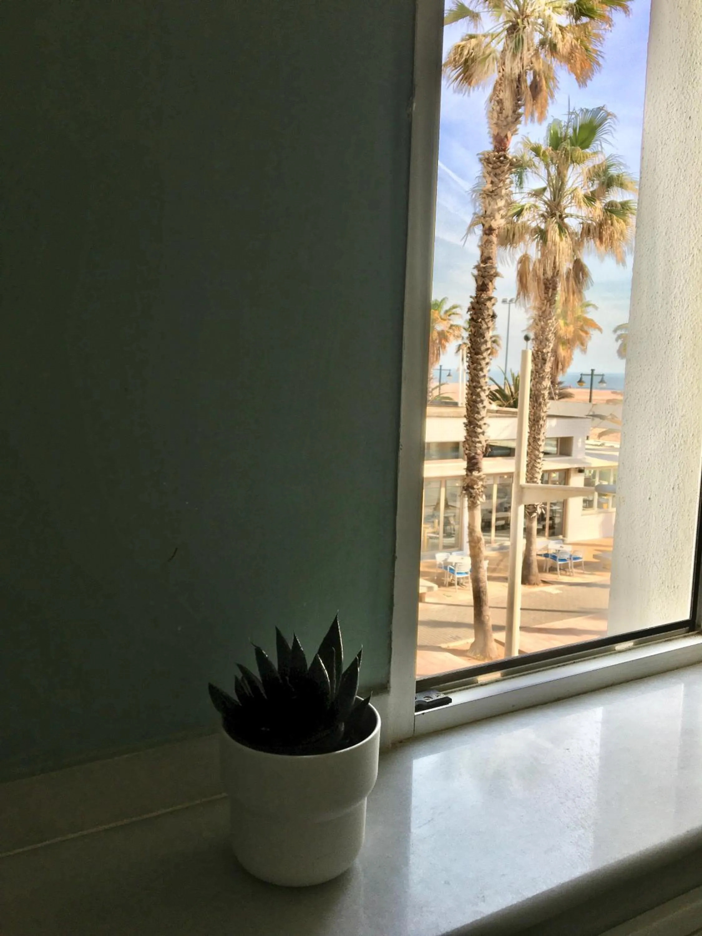 View (from property/room) in Hotel Miramar Valencia