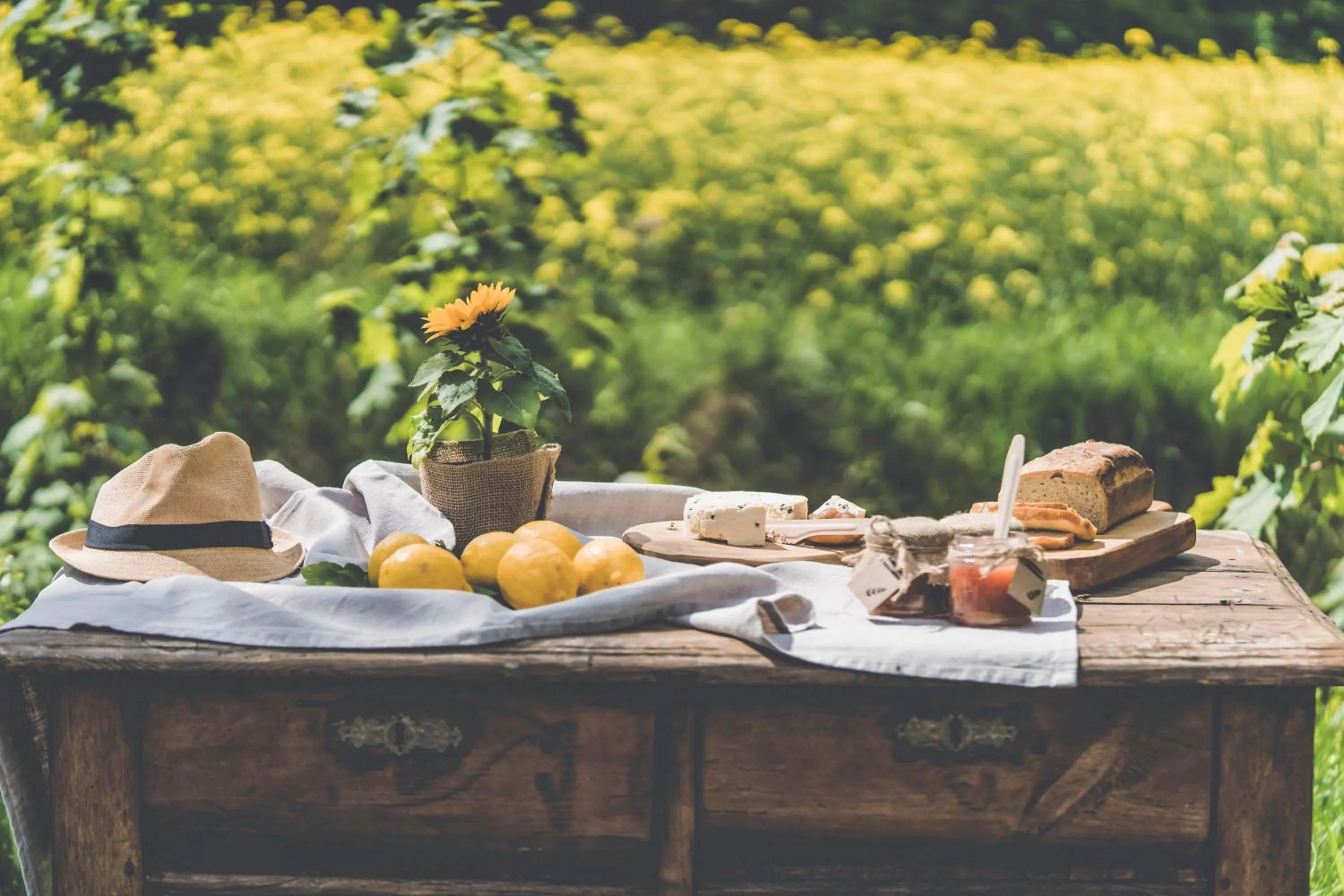 Natural landscape in Łubinowe Wzgórze Dom II