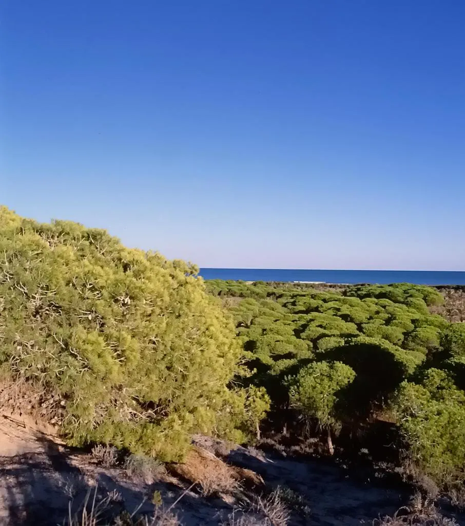 Natural landscape in Hotel Quino