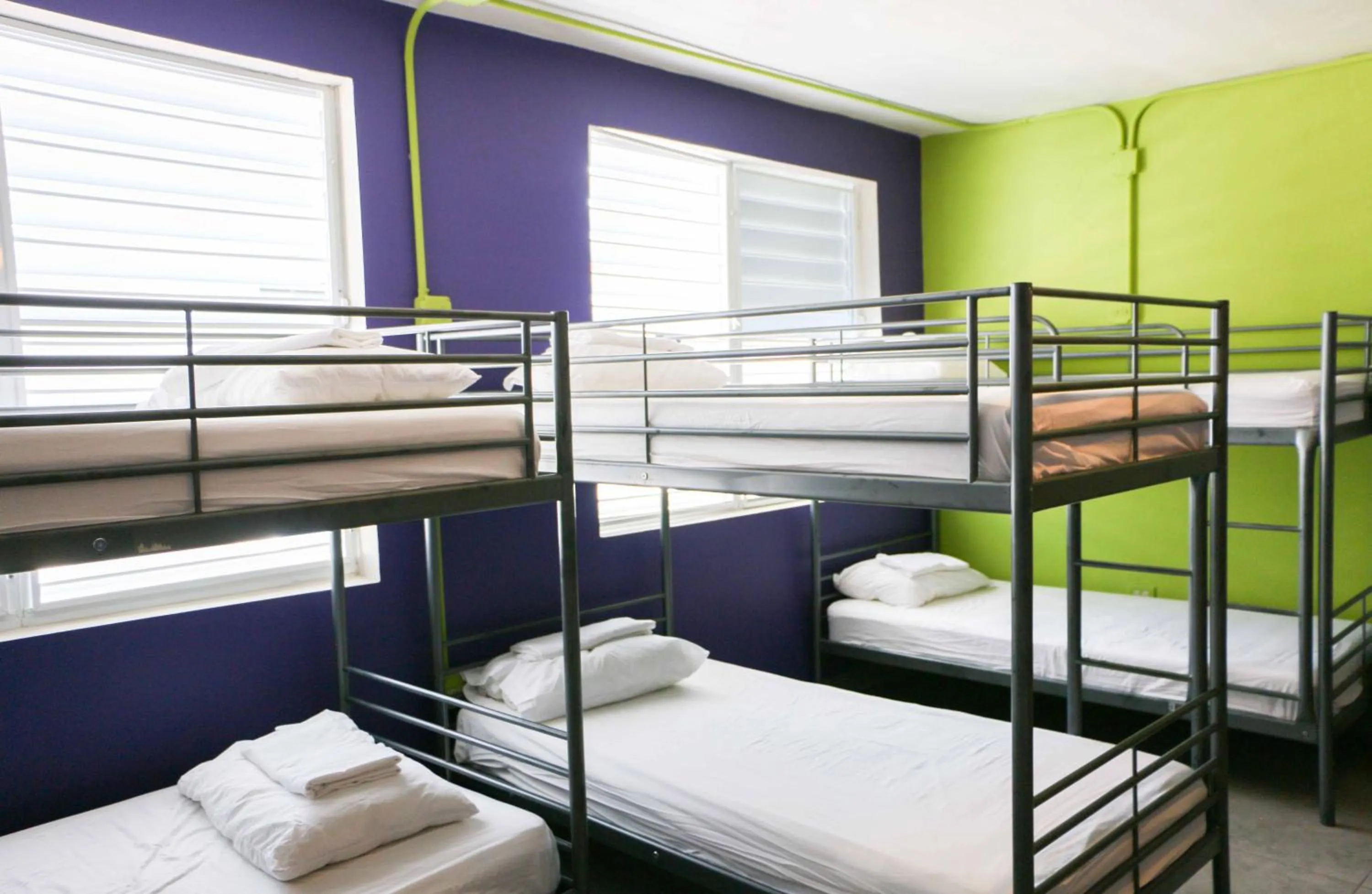 bunk bed, Bed in Conturce Hostel