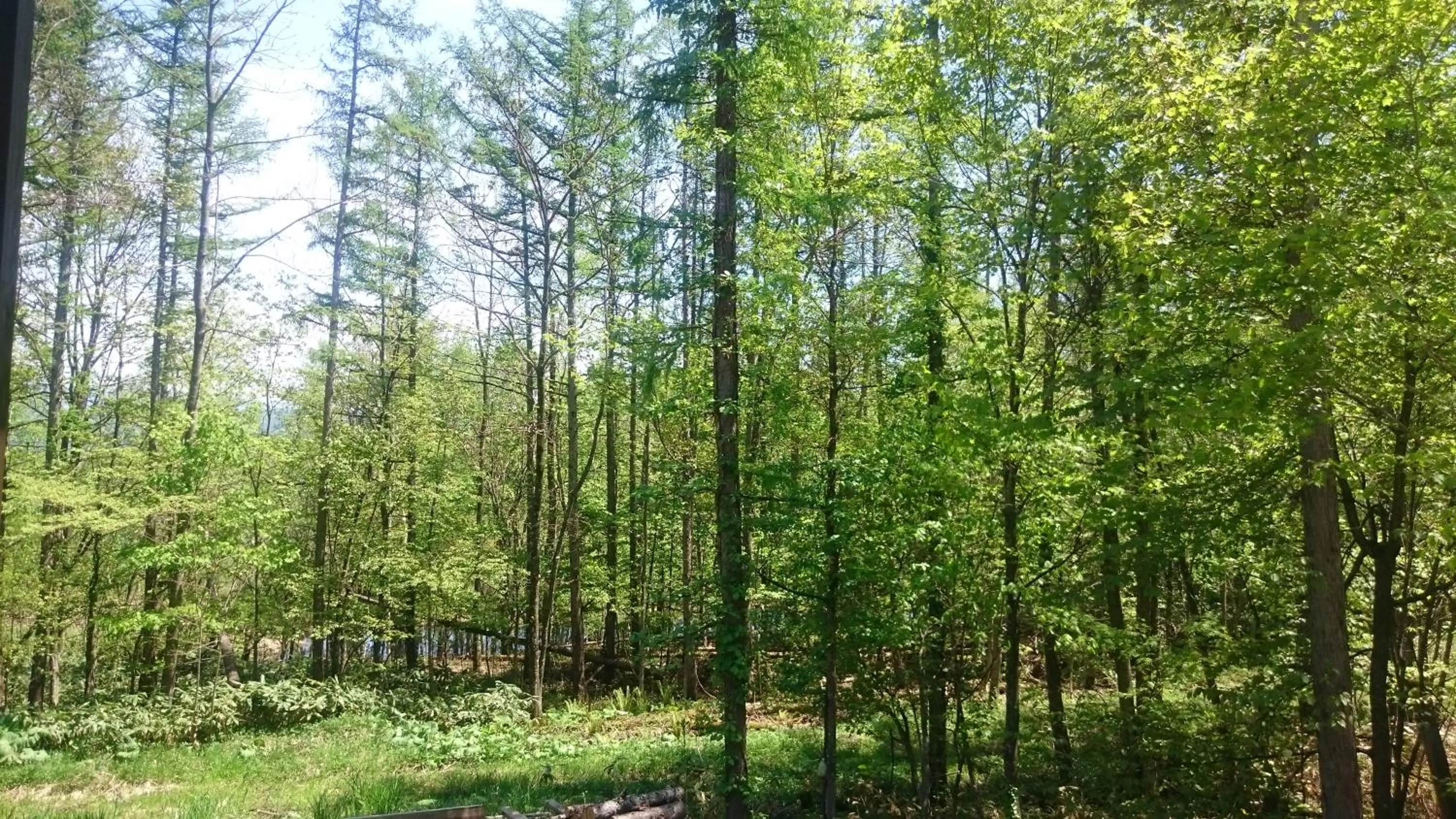 Neighbourhood in Ituka Furano e