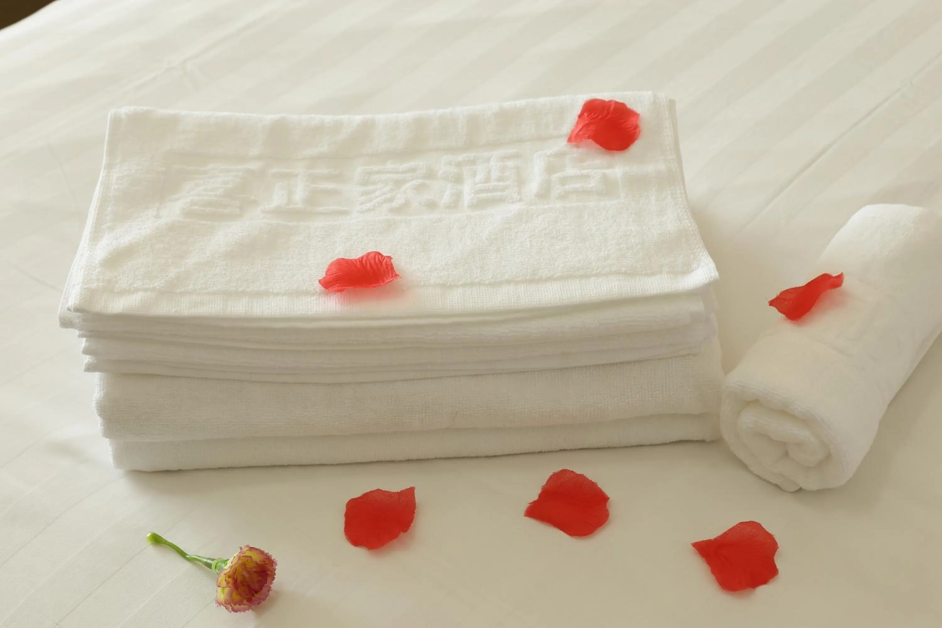 Guangzhou Convention Center Apartment