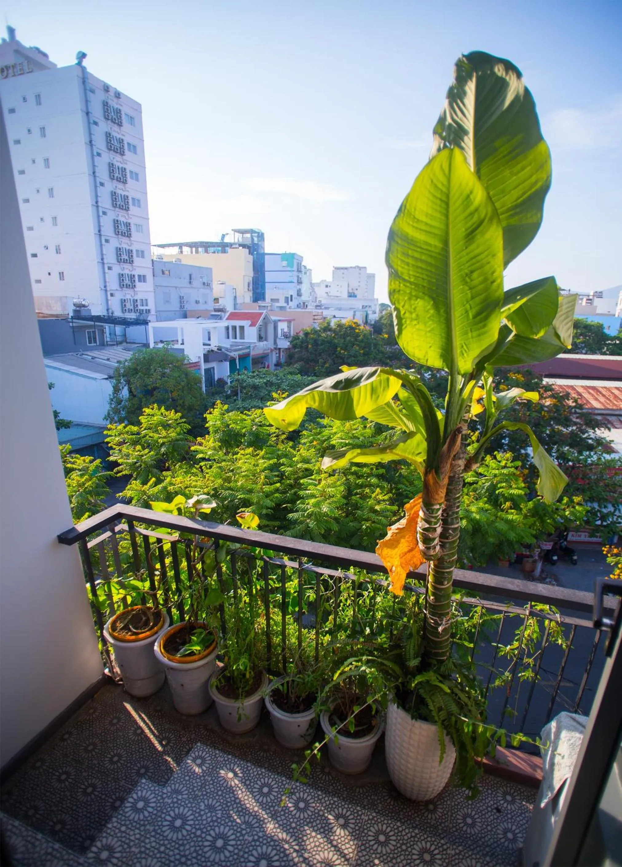 City view in Kon-Tiki DaNang Hostel