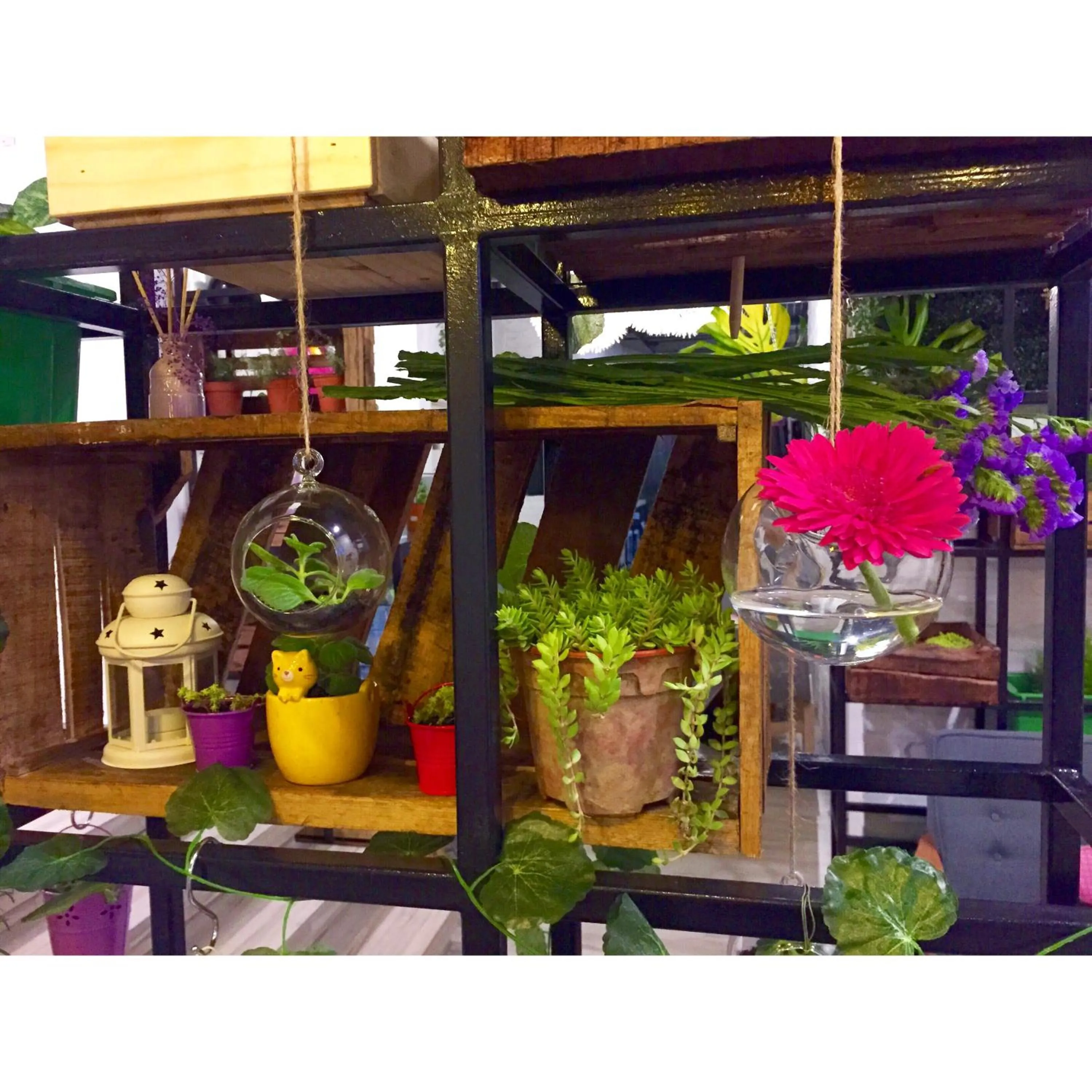 Communal lounge/ TV room in Hotel Flora Plus