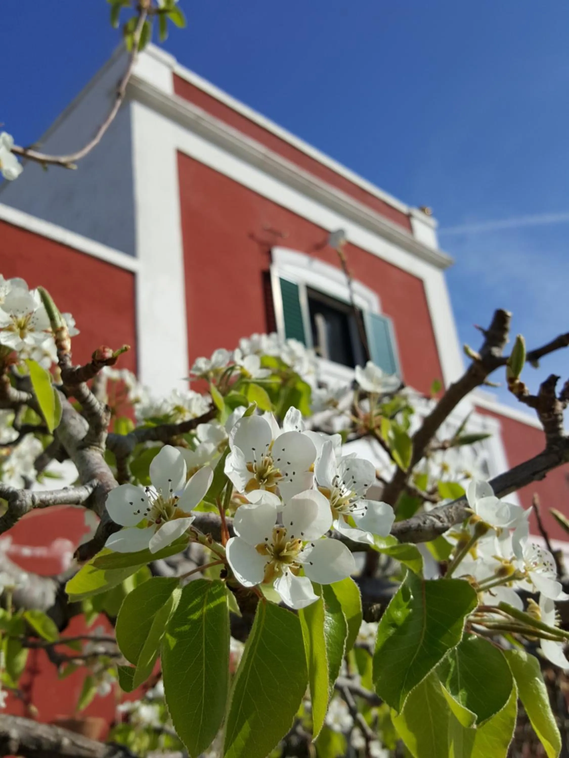 Facade/entrance in Masseria Trulli sull'Aia