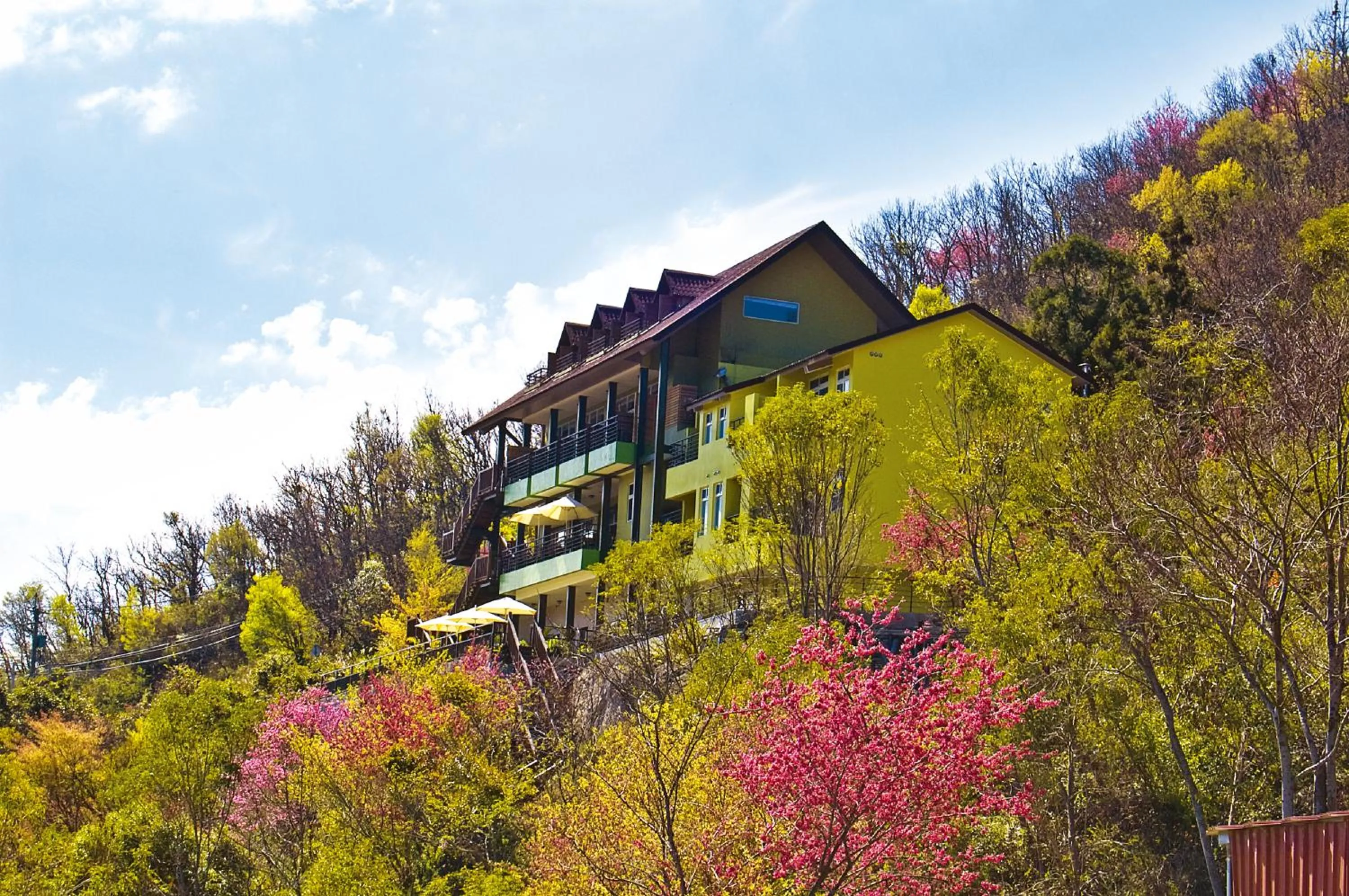 Property building in Sunnydale B&B