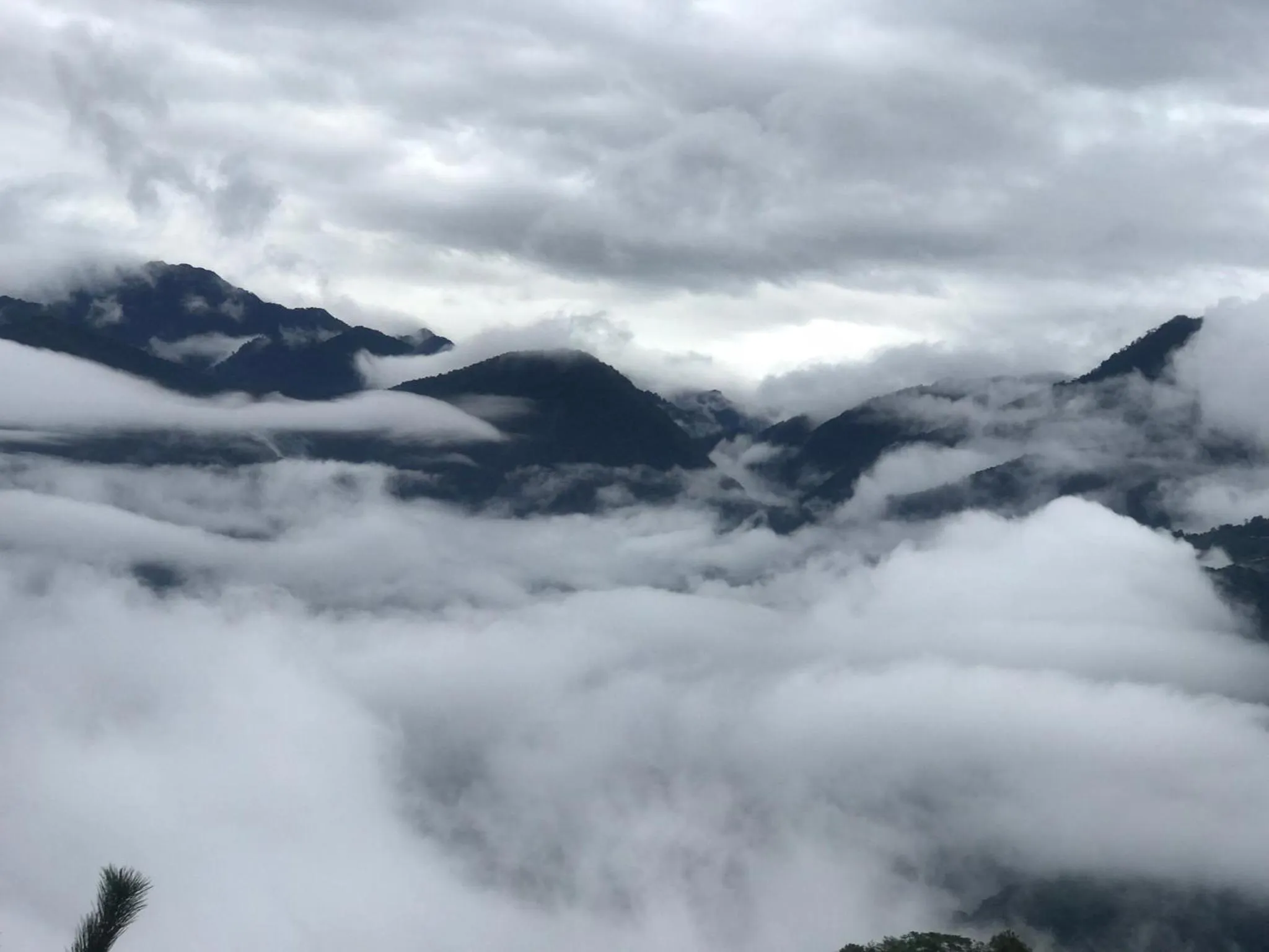 Natural landscape in Sunnydale B&B