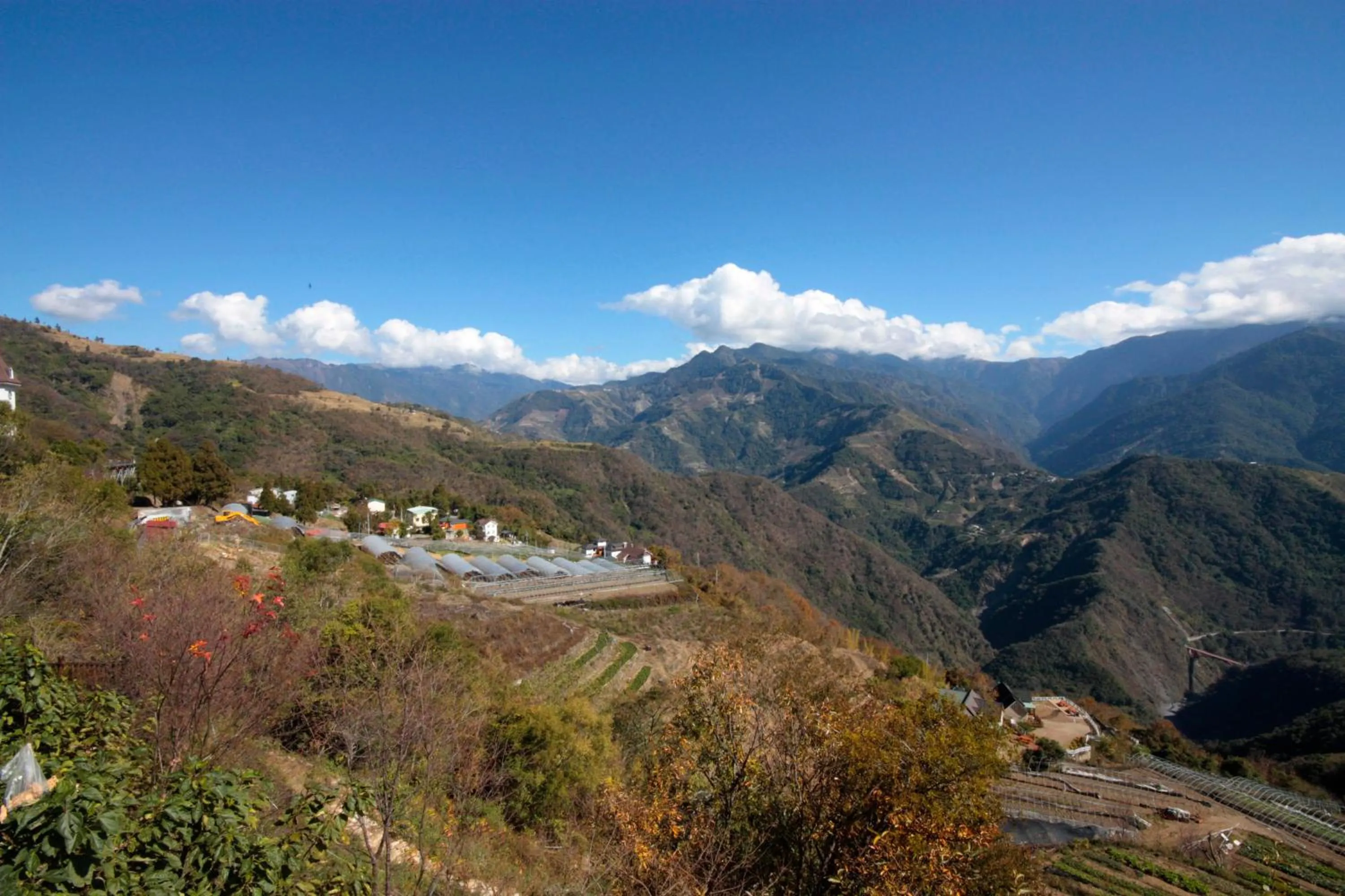 Natural landscape in Sunnydale B&B