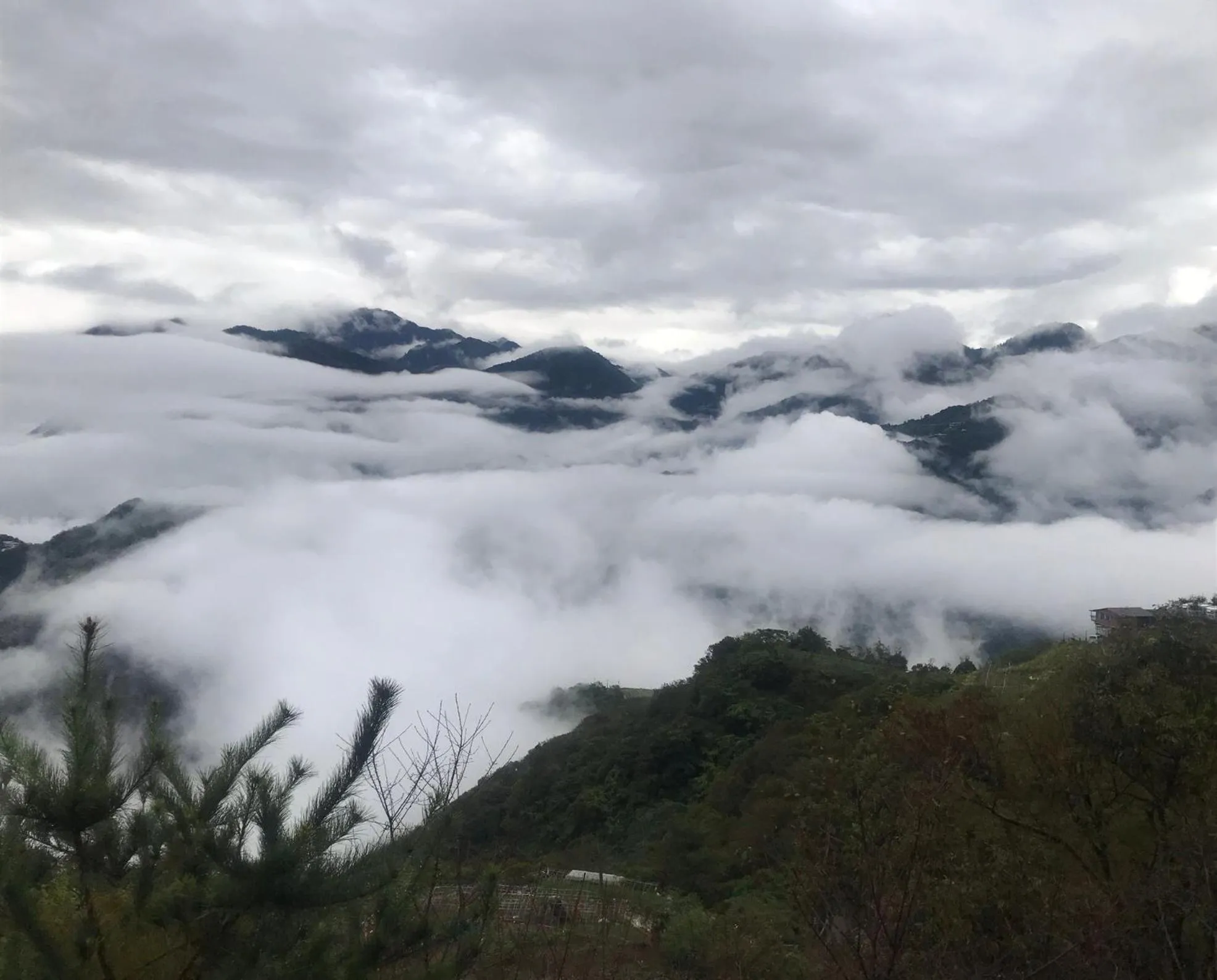 Natural landscape in Sunnydale B&B