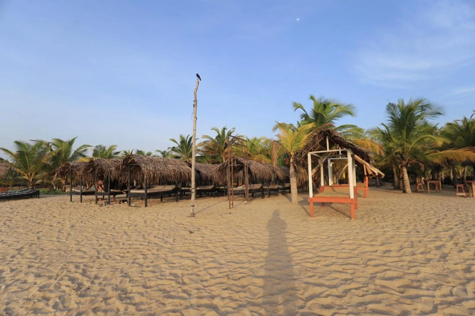 The Tasty Tuna Cabana