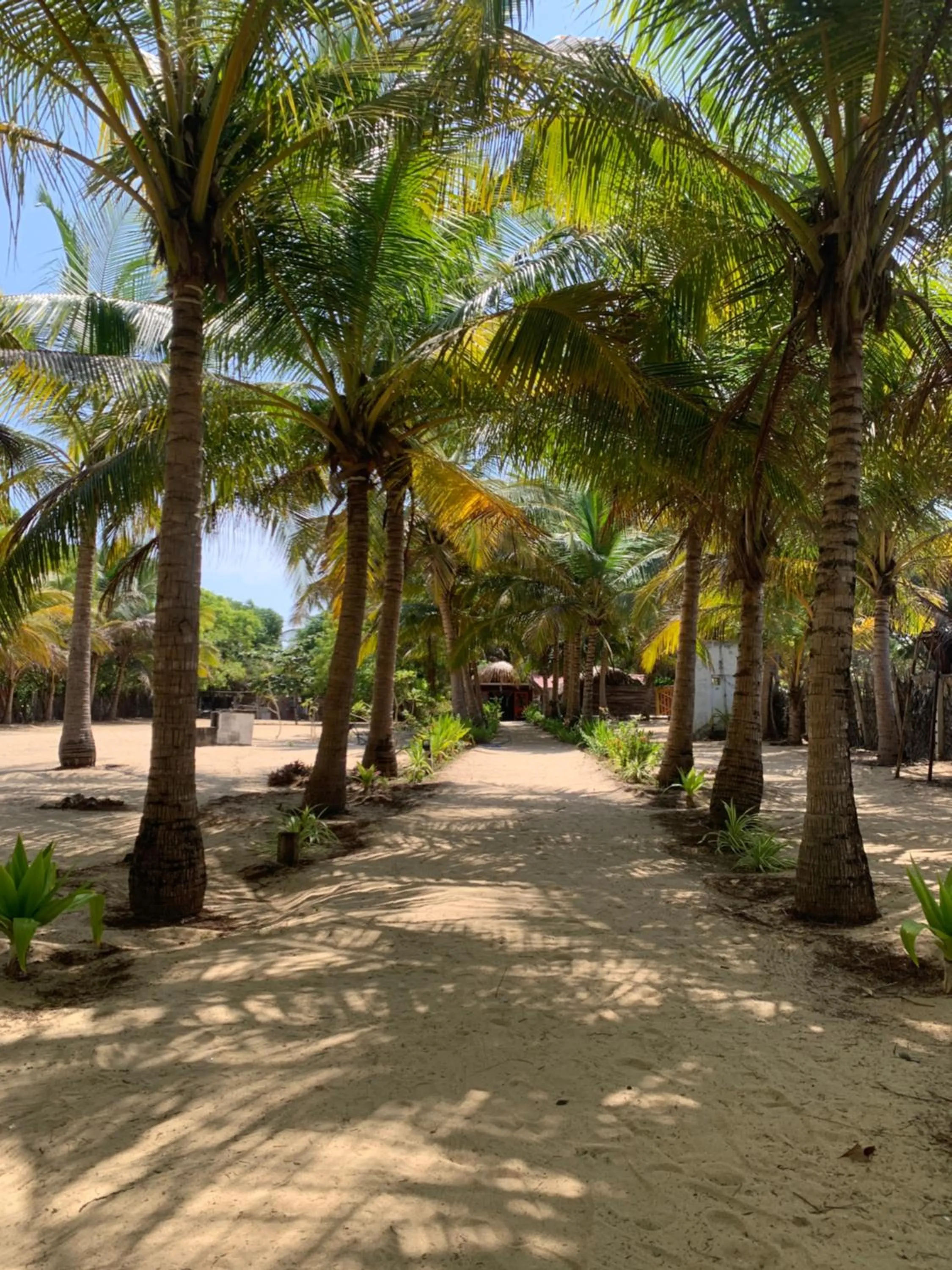 The Tasty Tuna Cabana