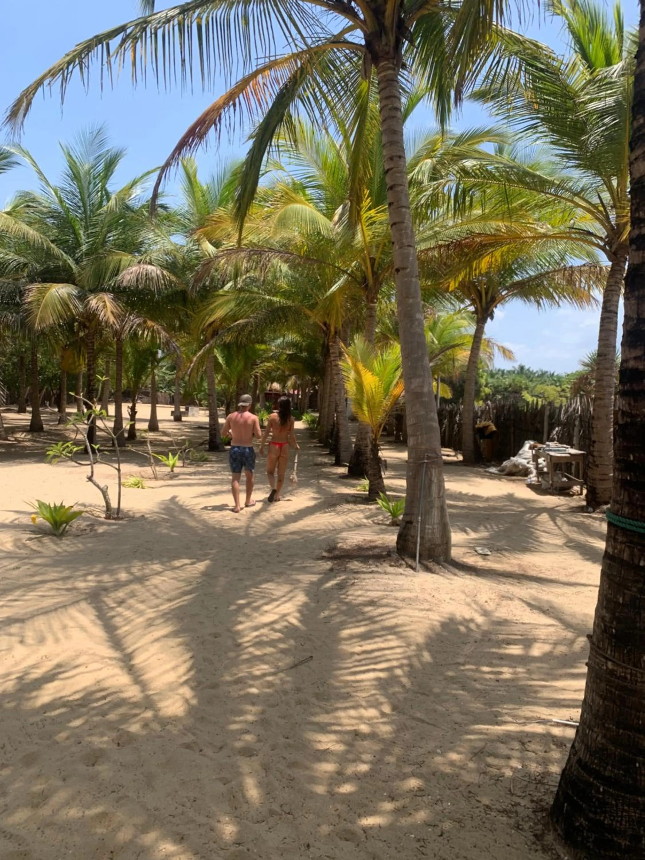 The Tasty Tuna Cabana