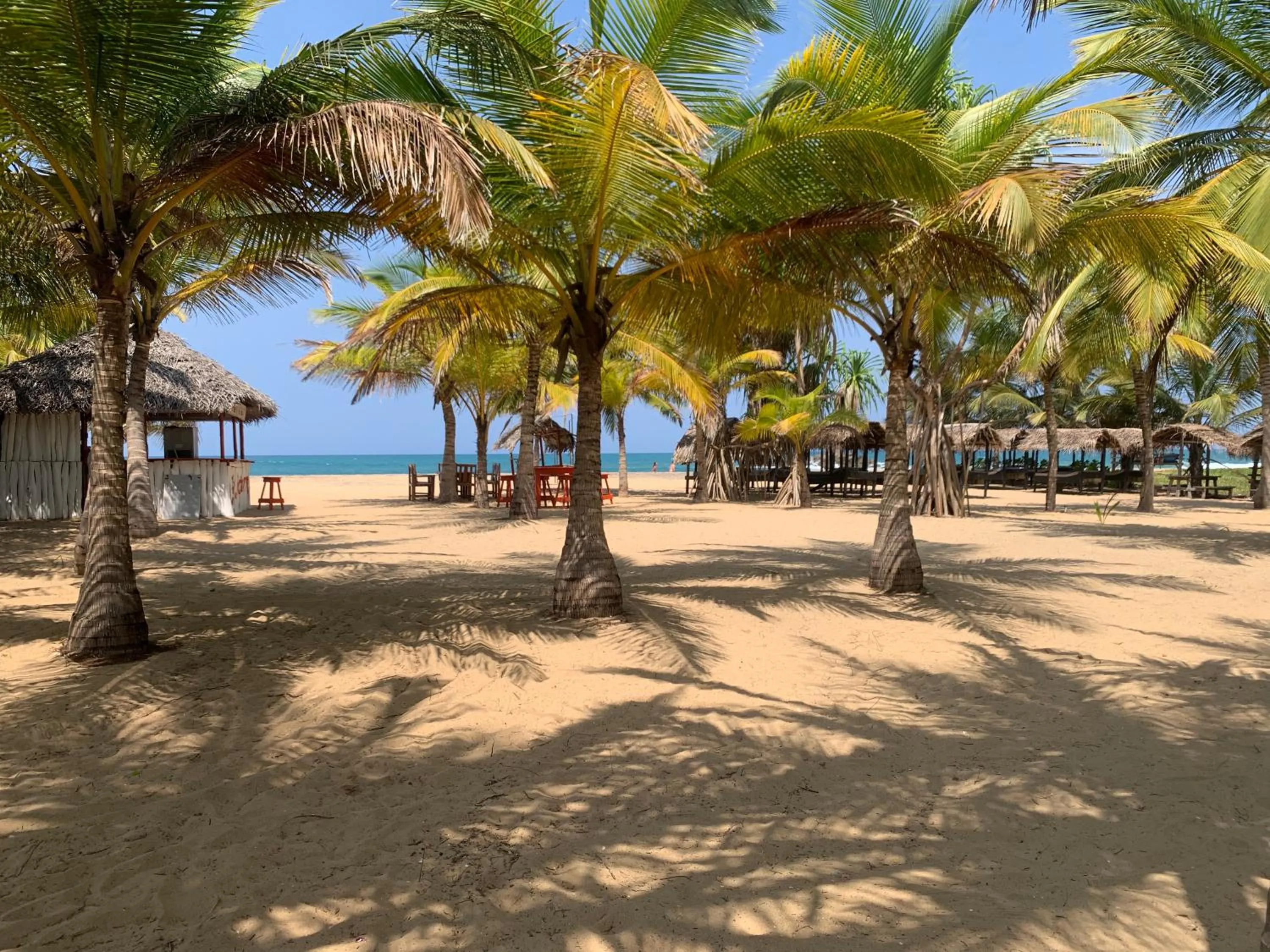 The Tasty Tuna Cabana