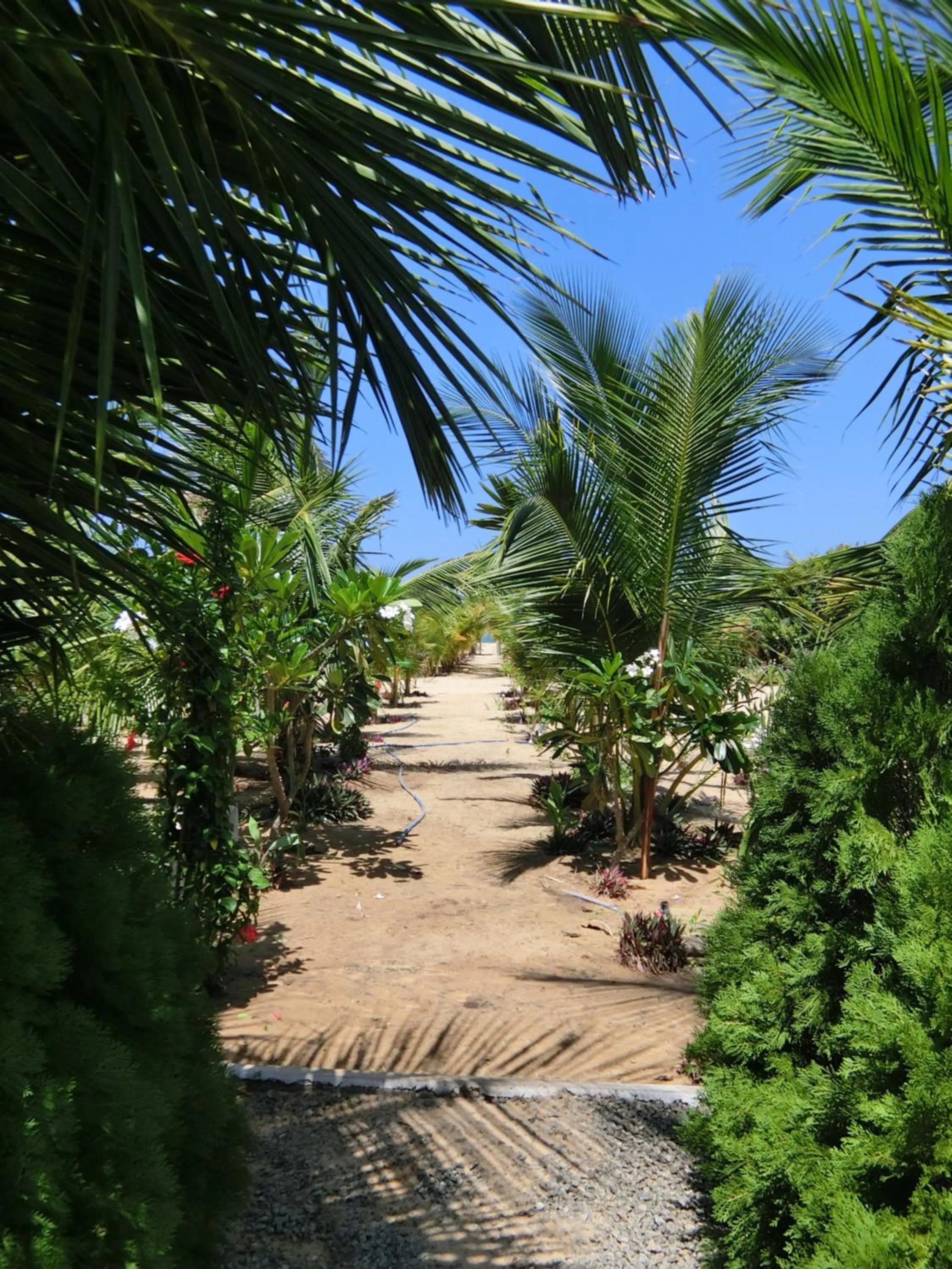 BBQ facilities in The Tasty Tuna Cabana