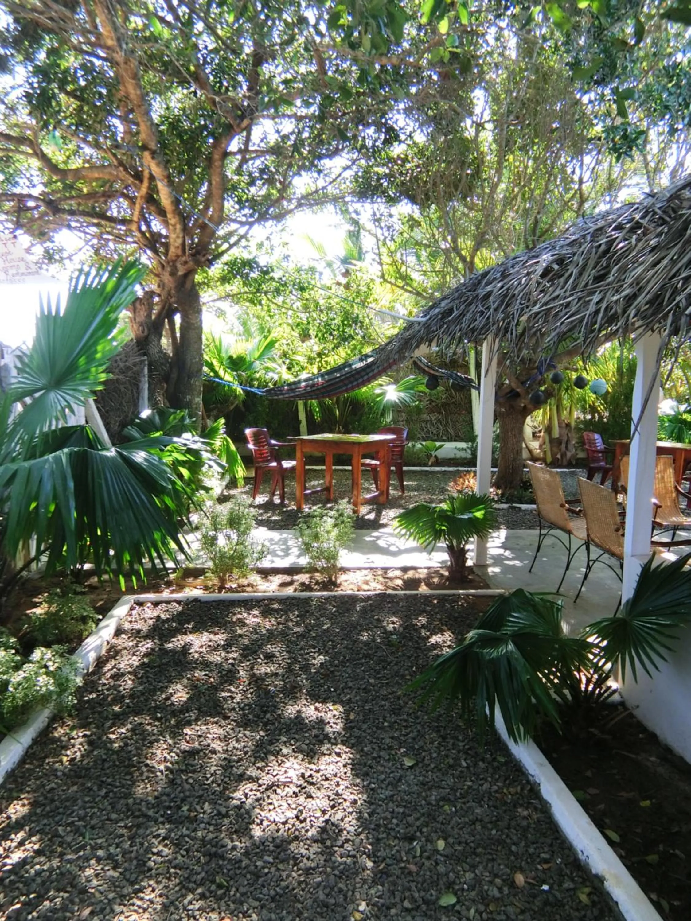 Garden in The Tasty Tuna Cabana