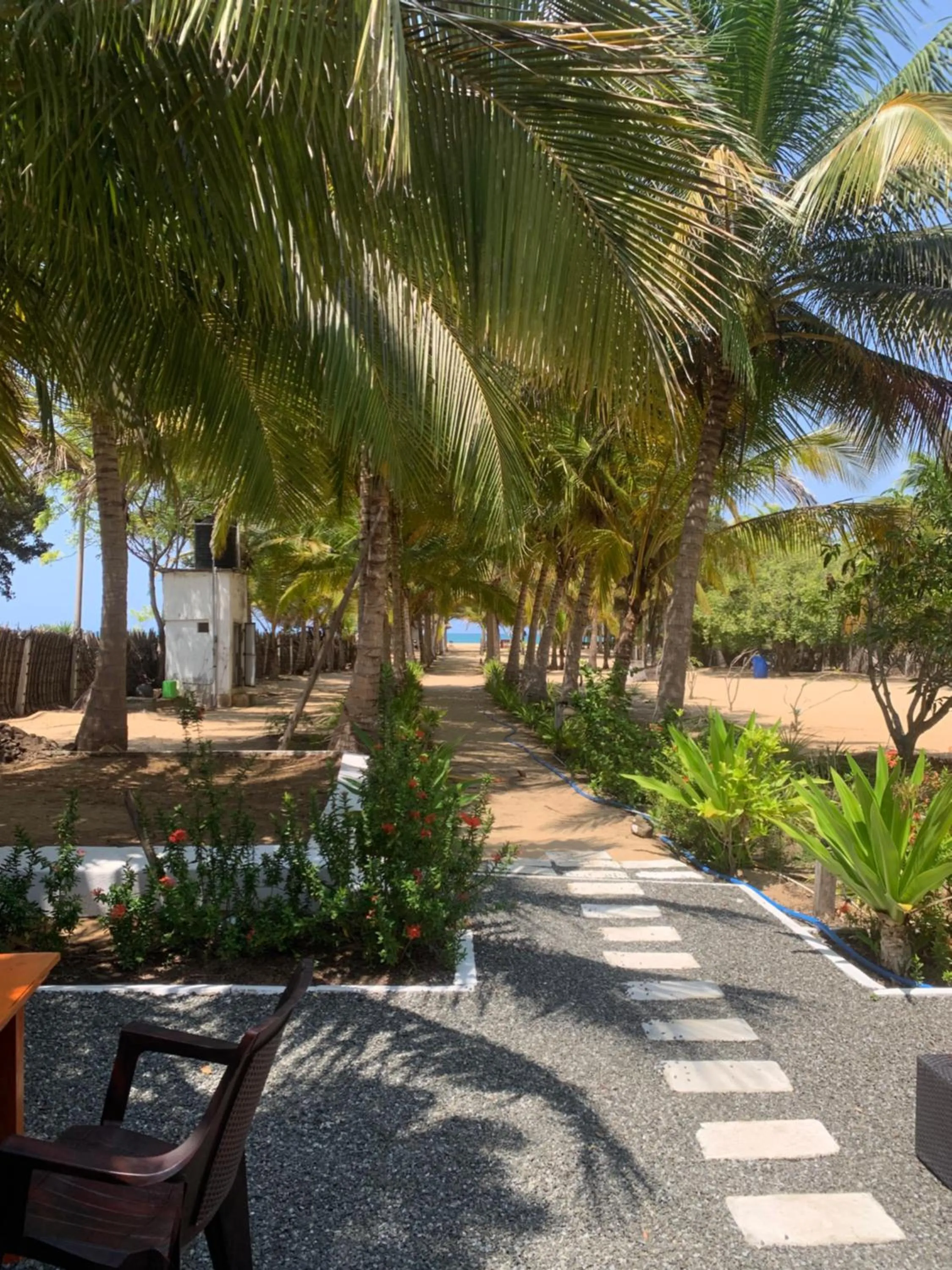 The Tasty Tuna Cabana