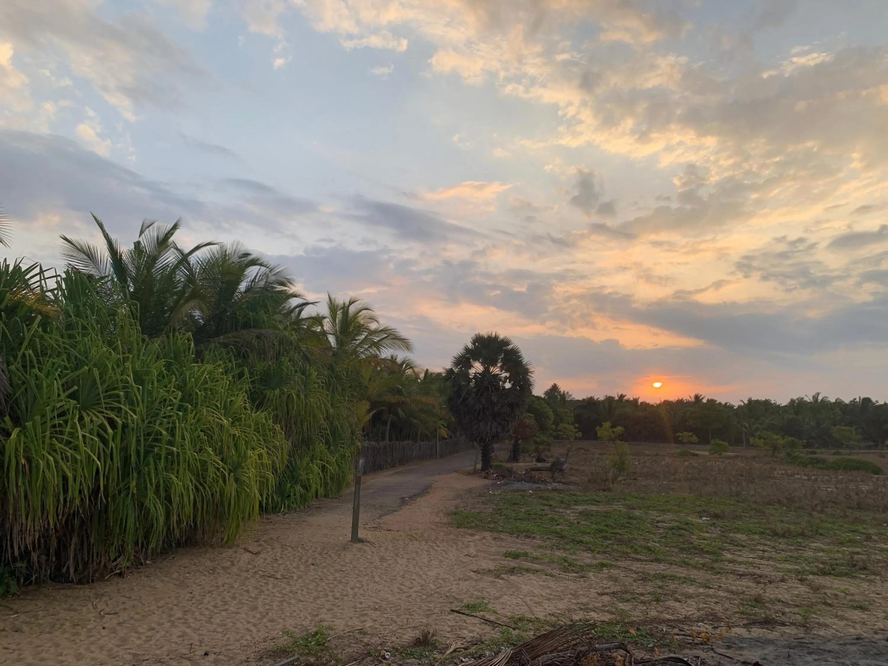 The Tasty Tuna Cabana