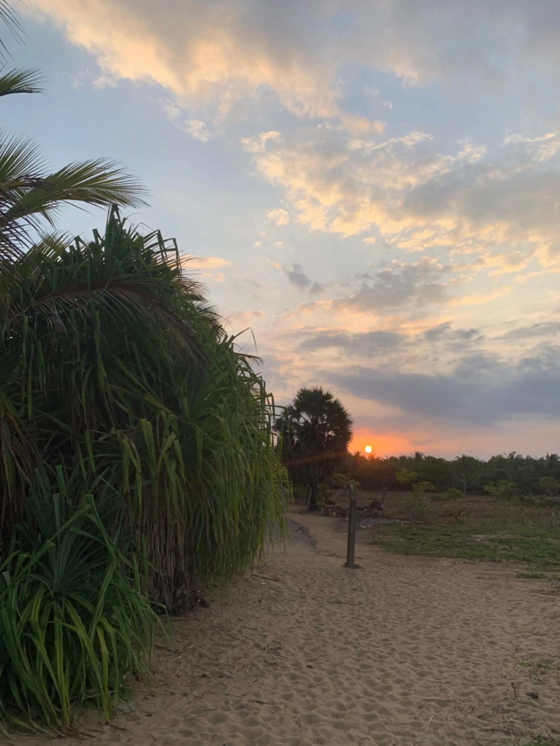 The Tasty Tuna Cabana