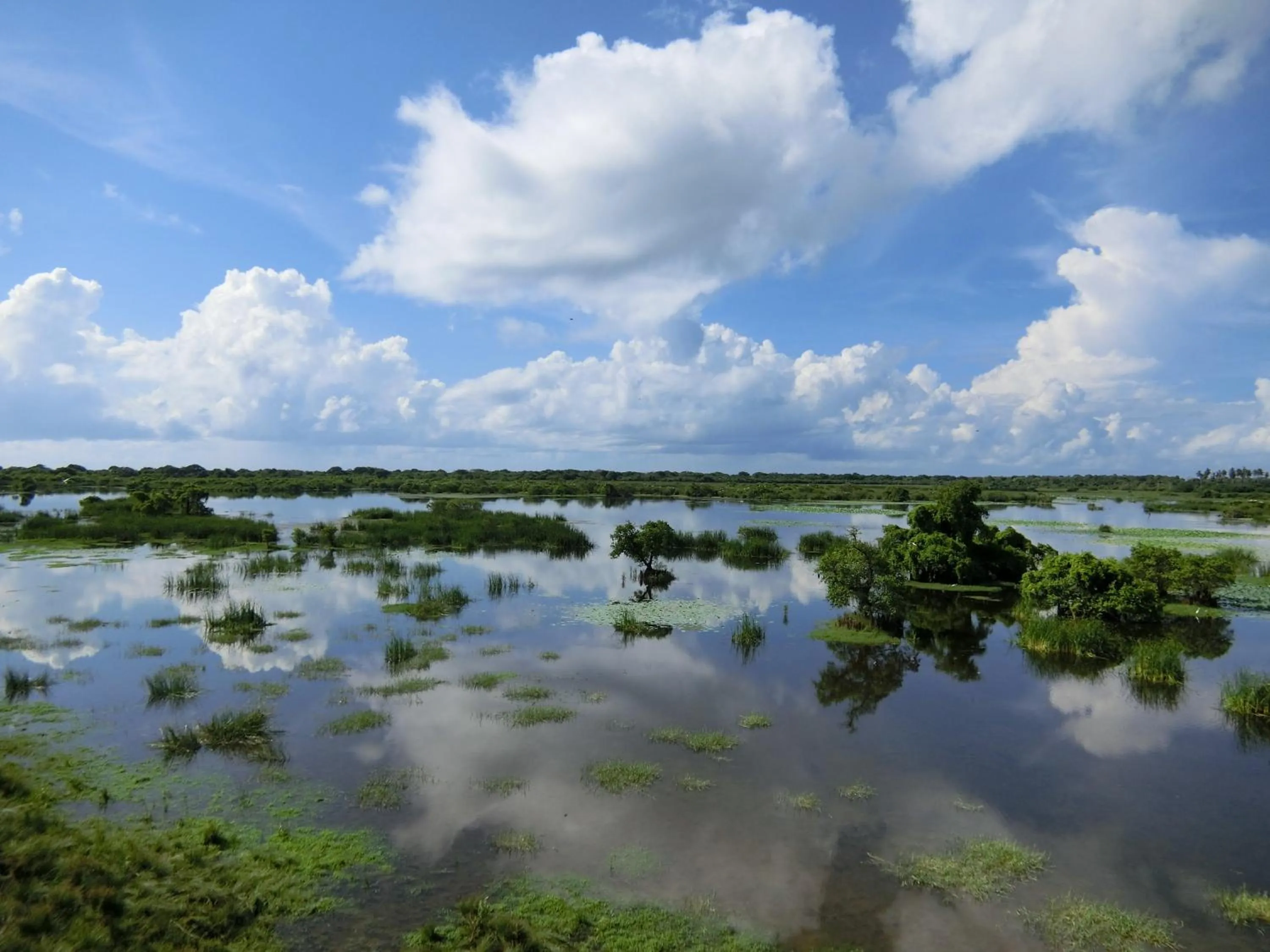 Nearby landmark in The Tasty Tuna Cabana