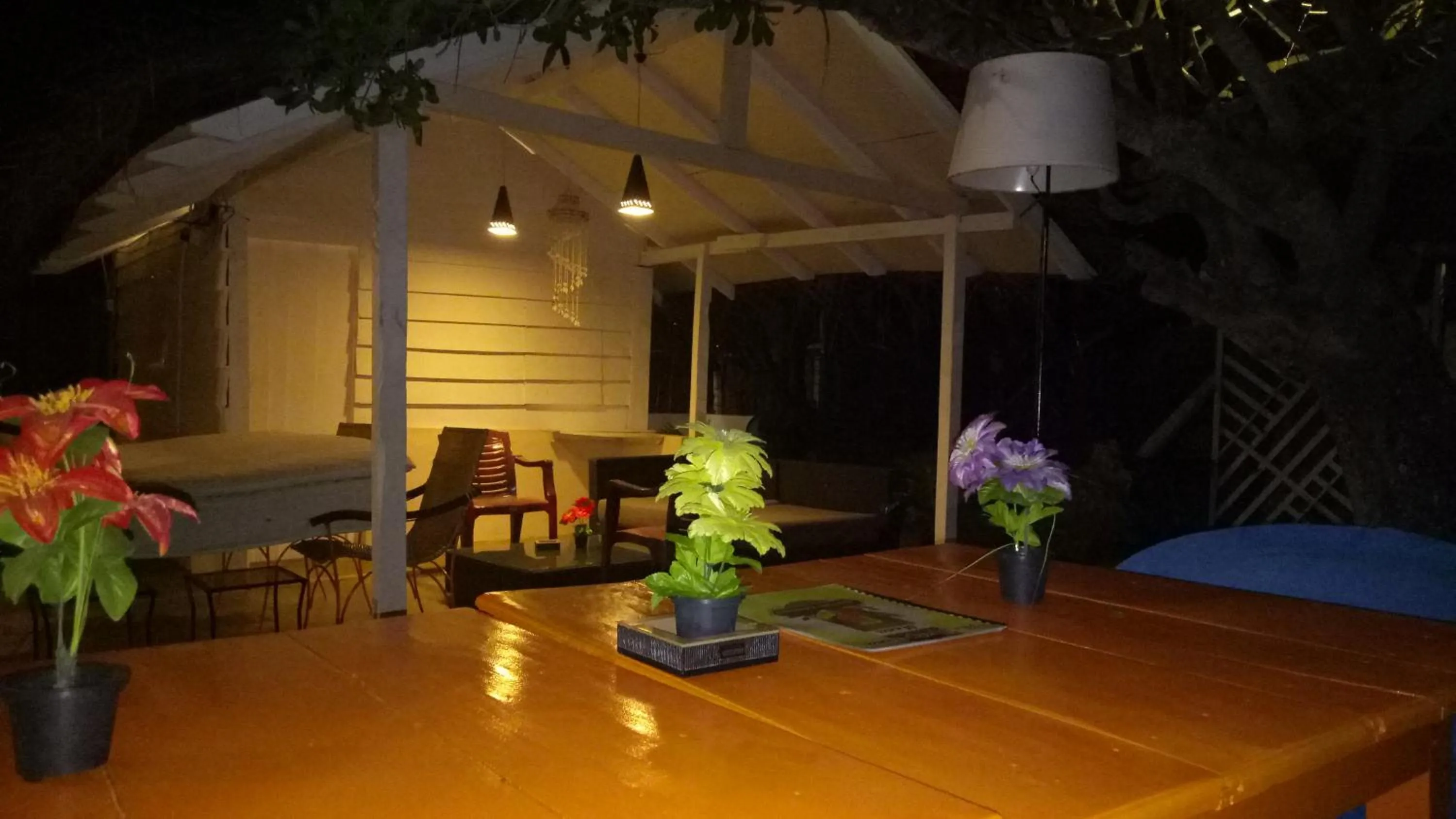 View (from property/room) in The Tasty Tuna Cabana