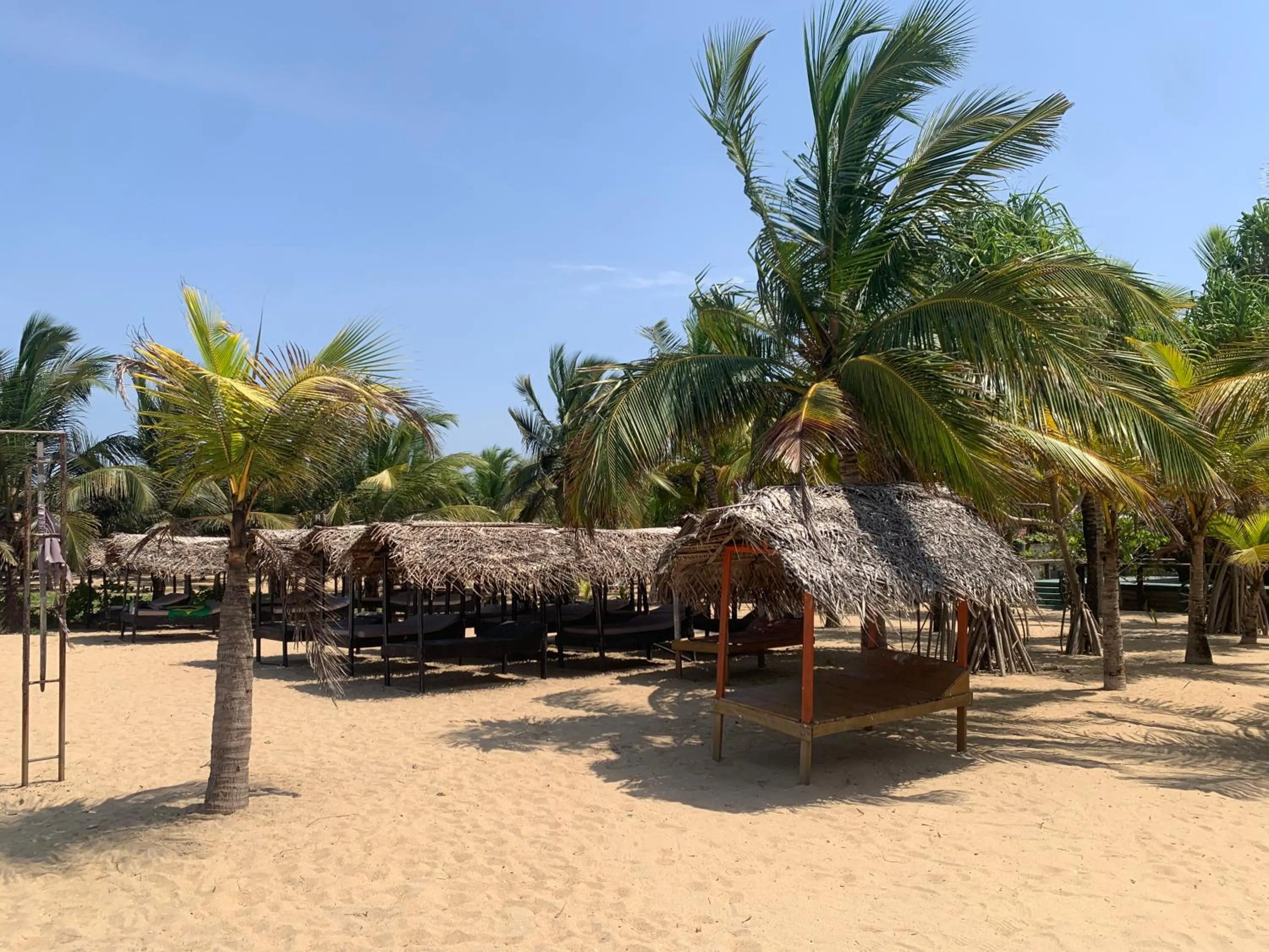 The Tasty Tuna Cabana