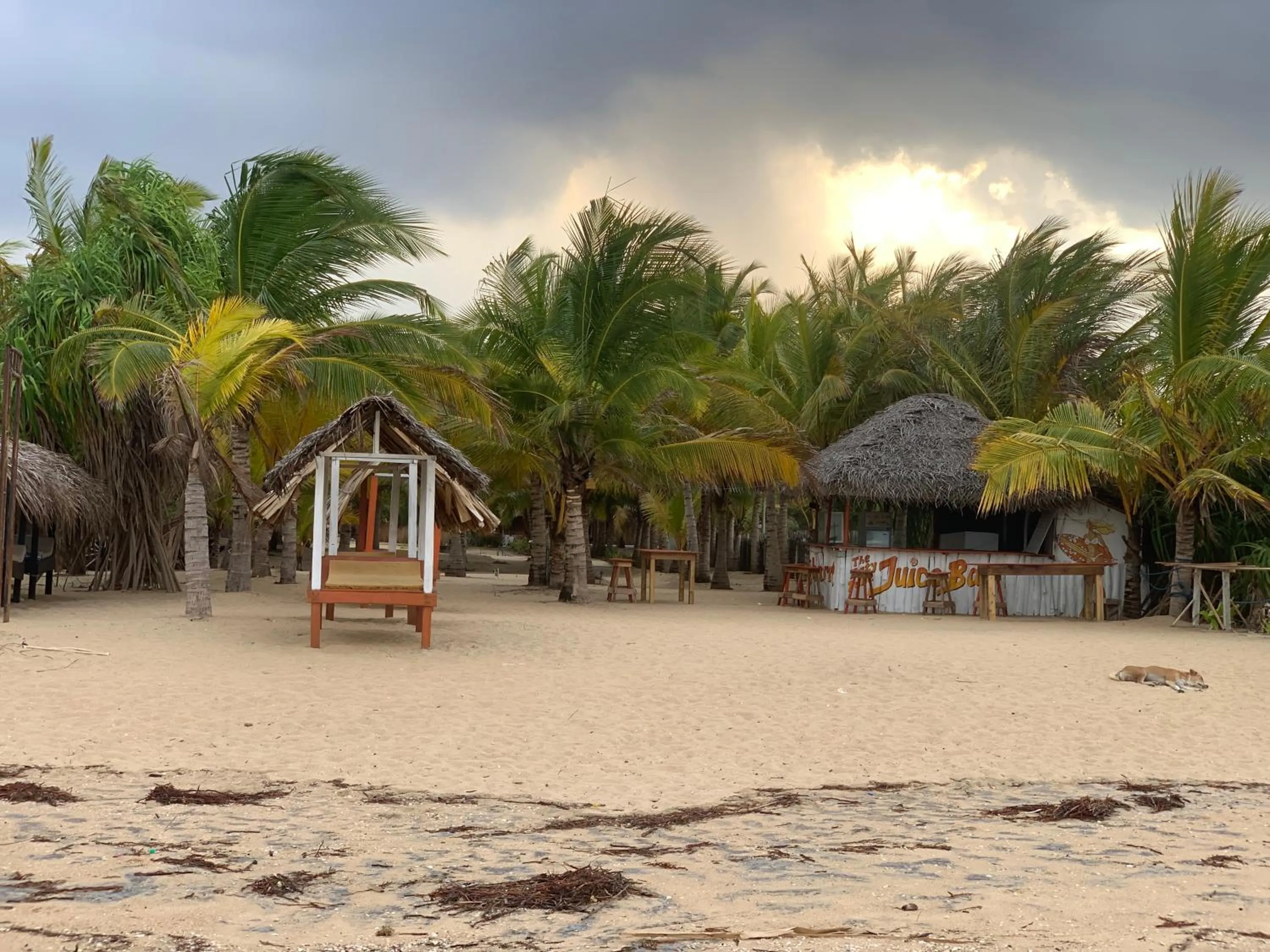 The Tasty Tuna Cabana