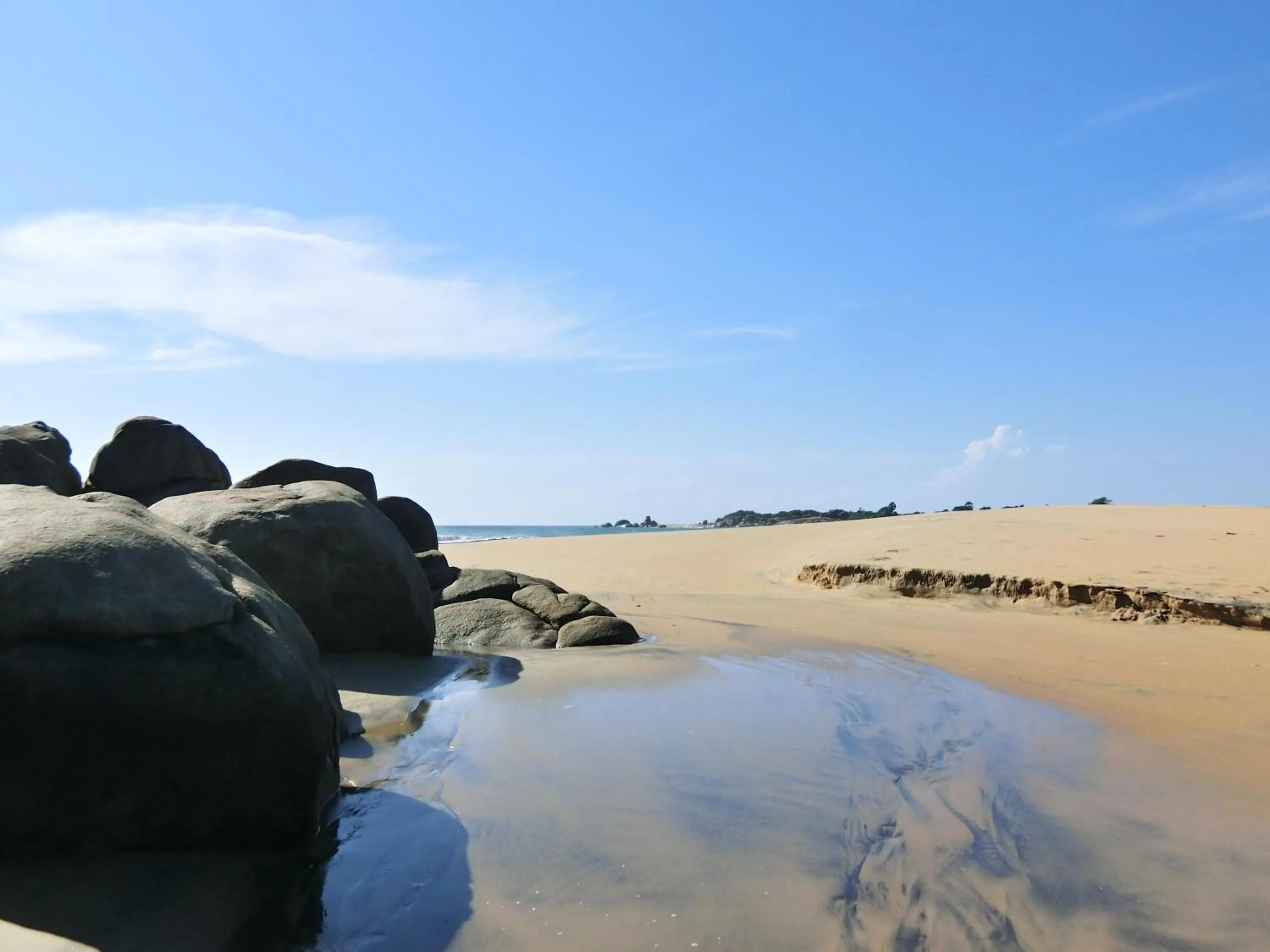 Natural landscape in The Tasty Tuna Cabana