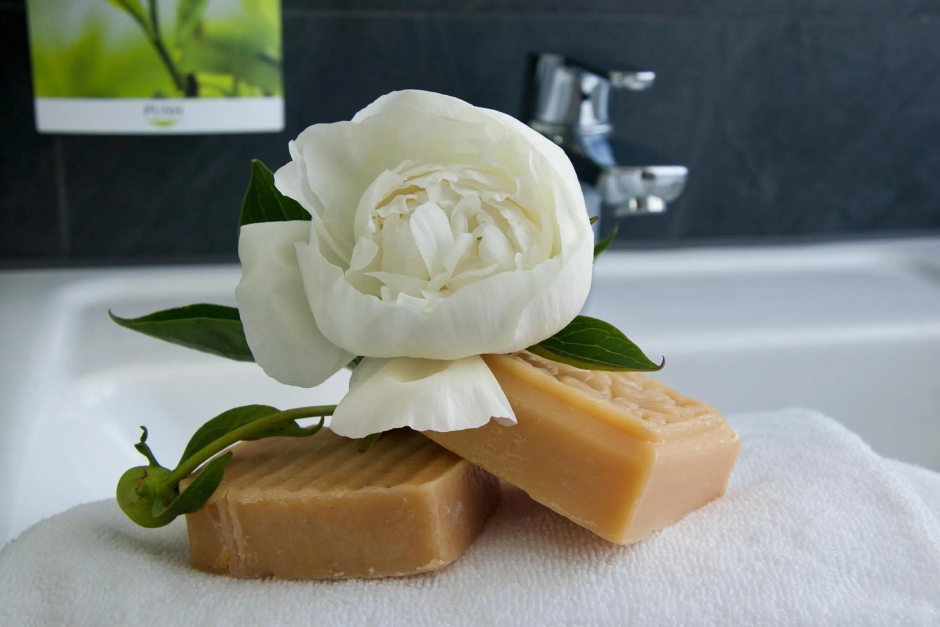 Boardinghouse Landshut