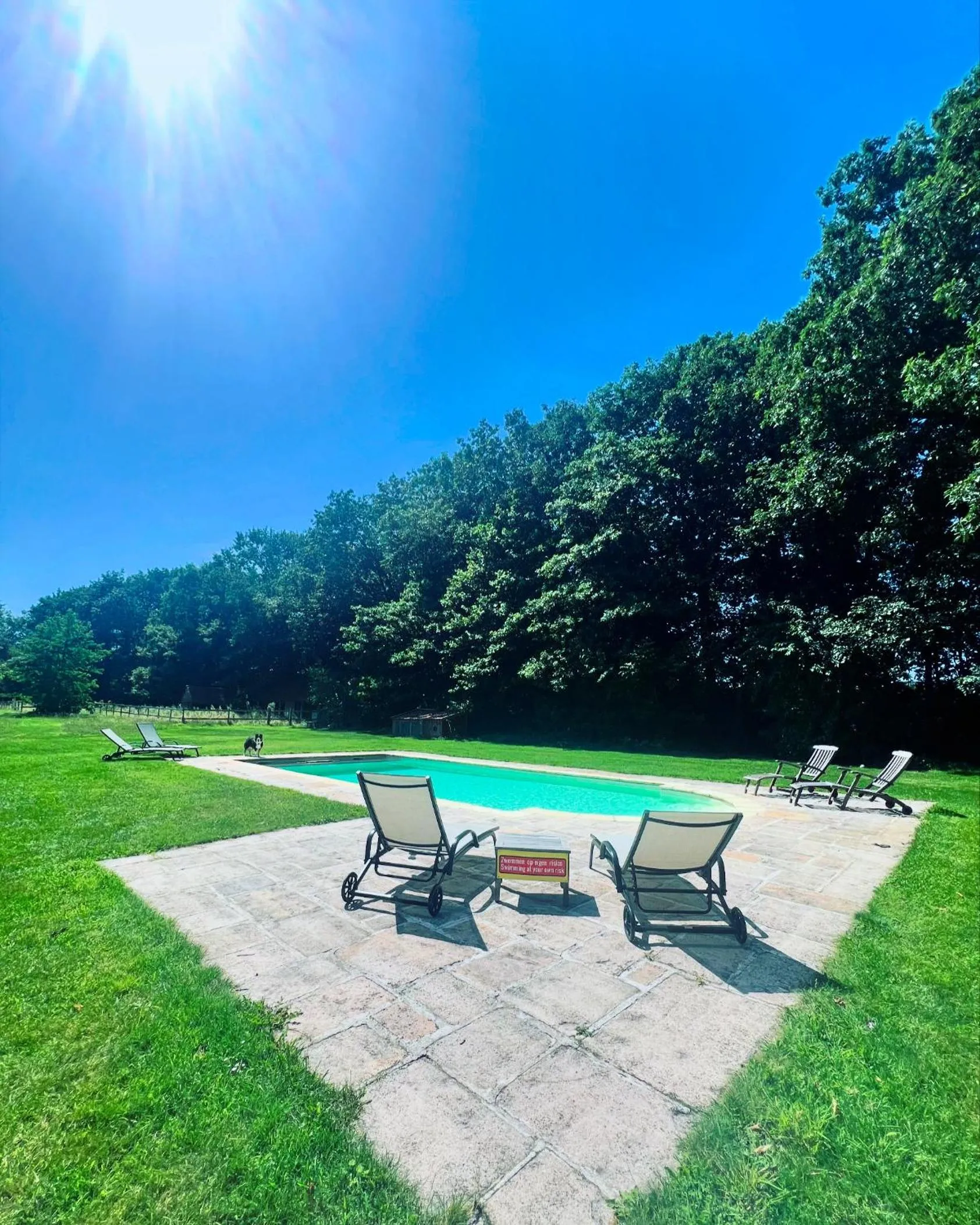 Garden in B&B Domein Rodin