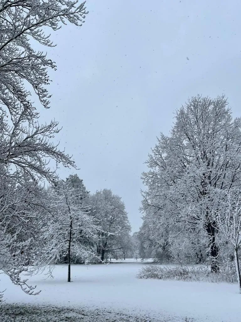Winter in B&B Domein Rodin