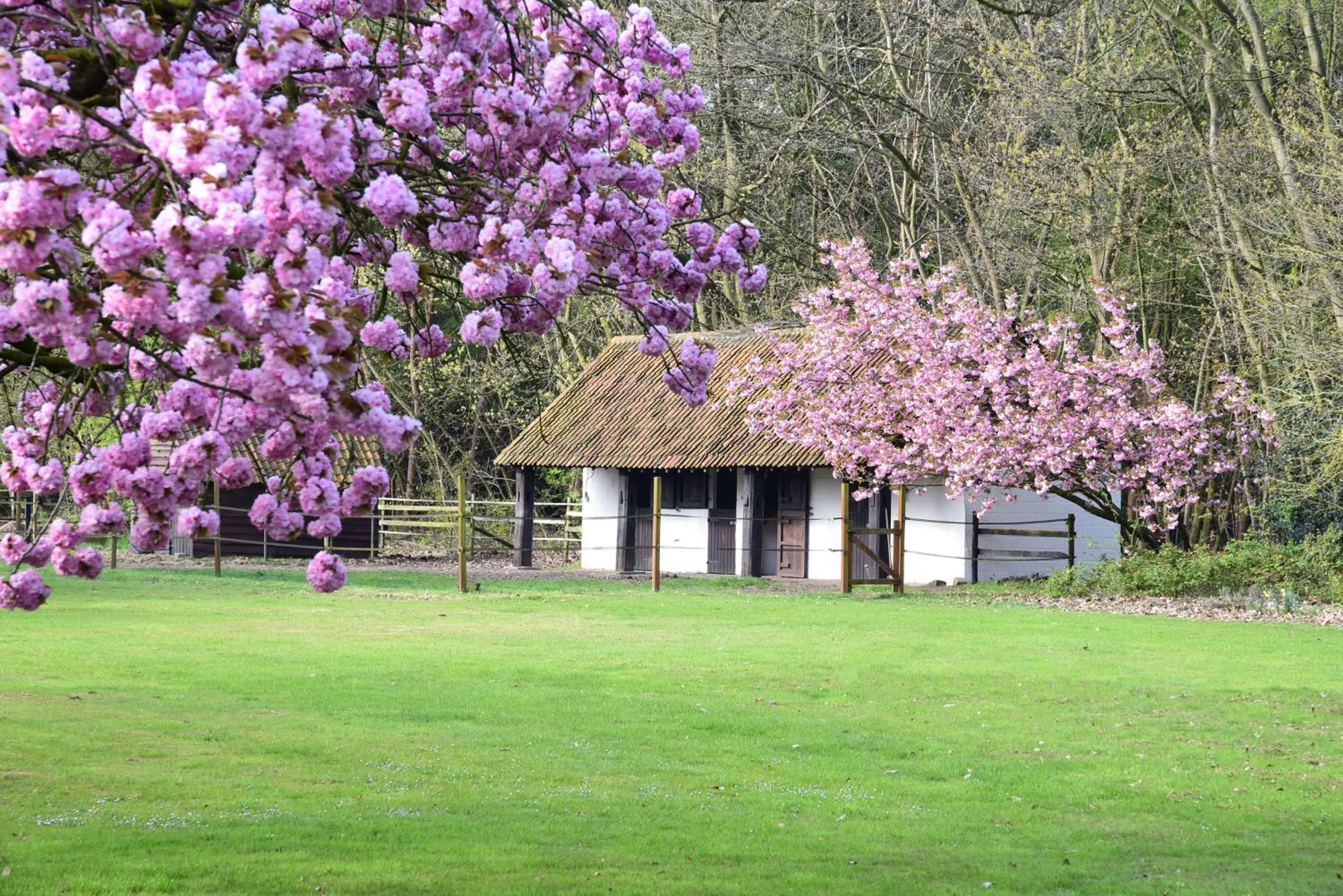 Spring in B&B Domein Rodin