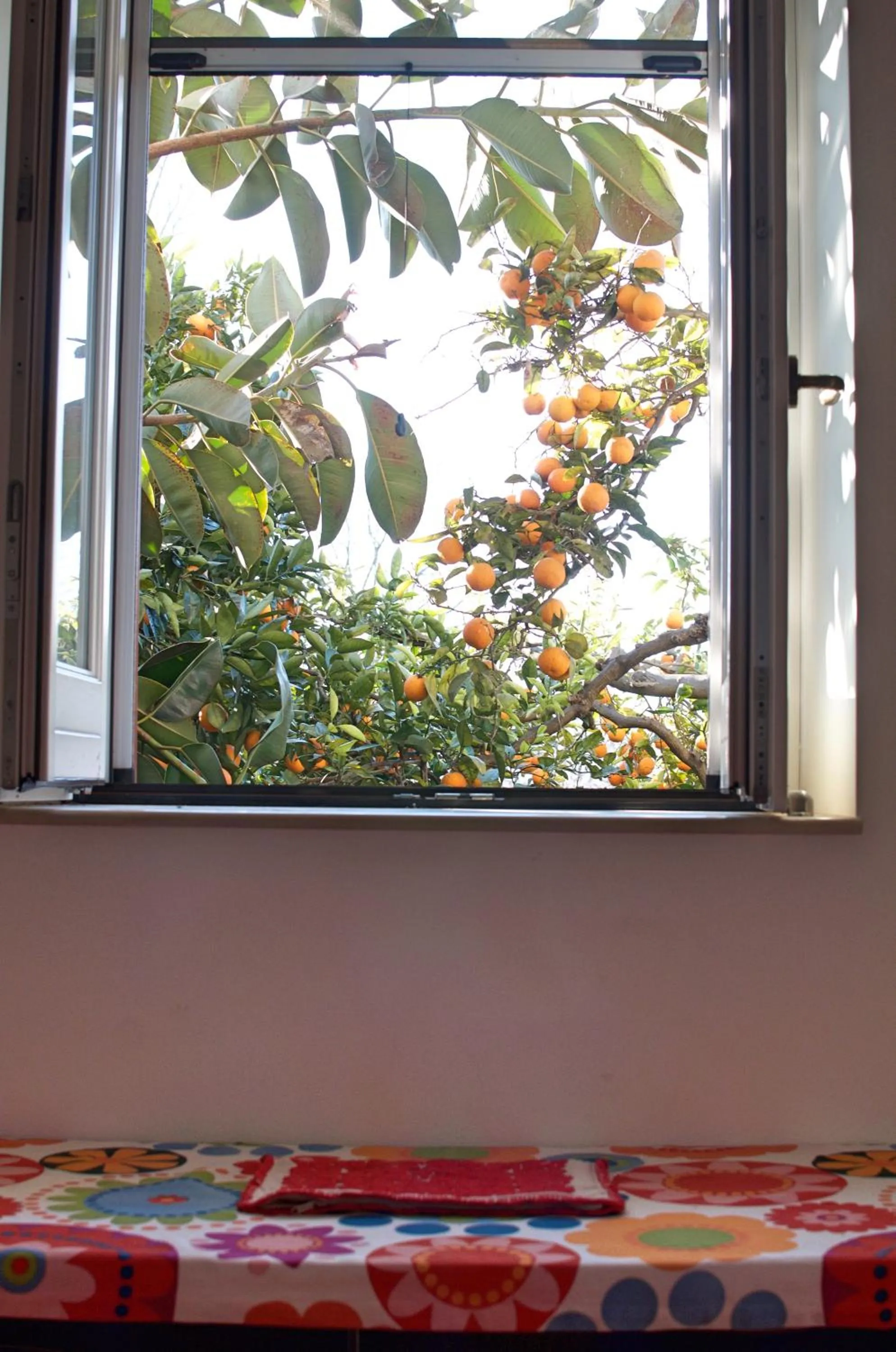 Garden view in Il Giardino del Sole