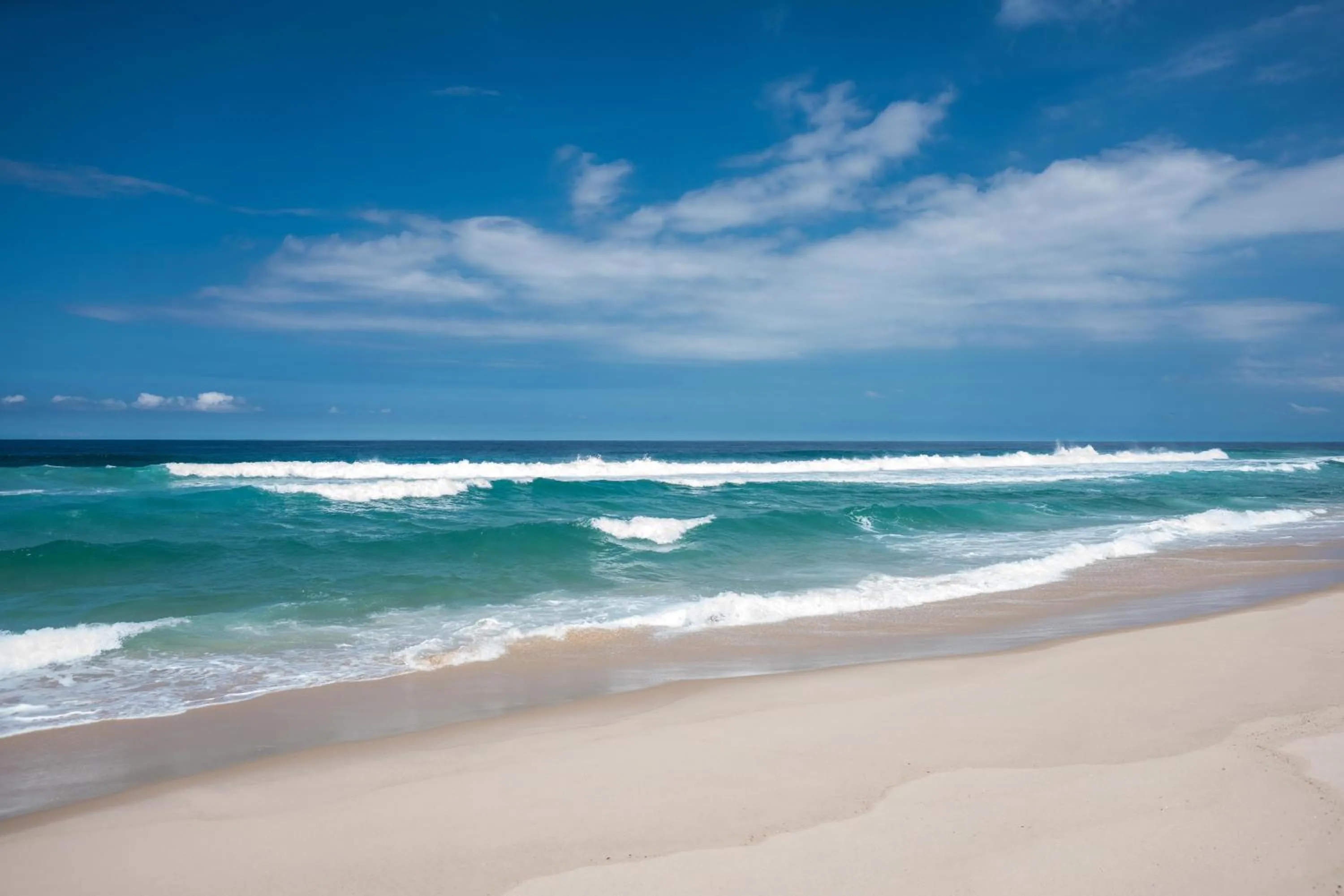 Natural landscape in Plaza Rio Residences - Barra First