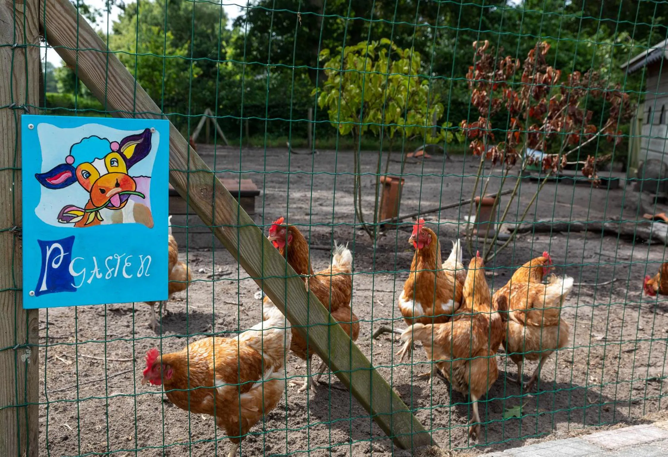 Animals in B&B De Achterdiek