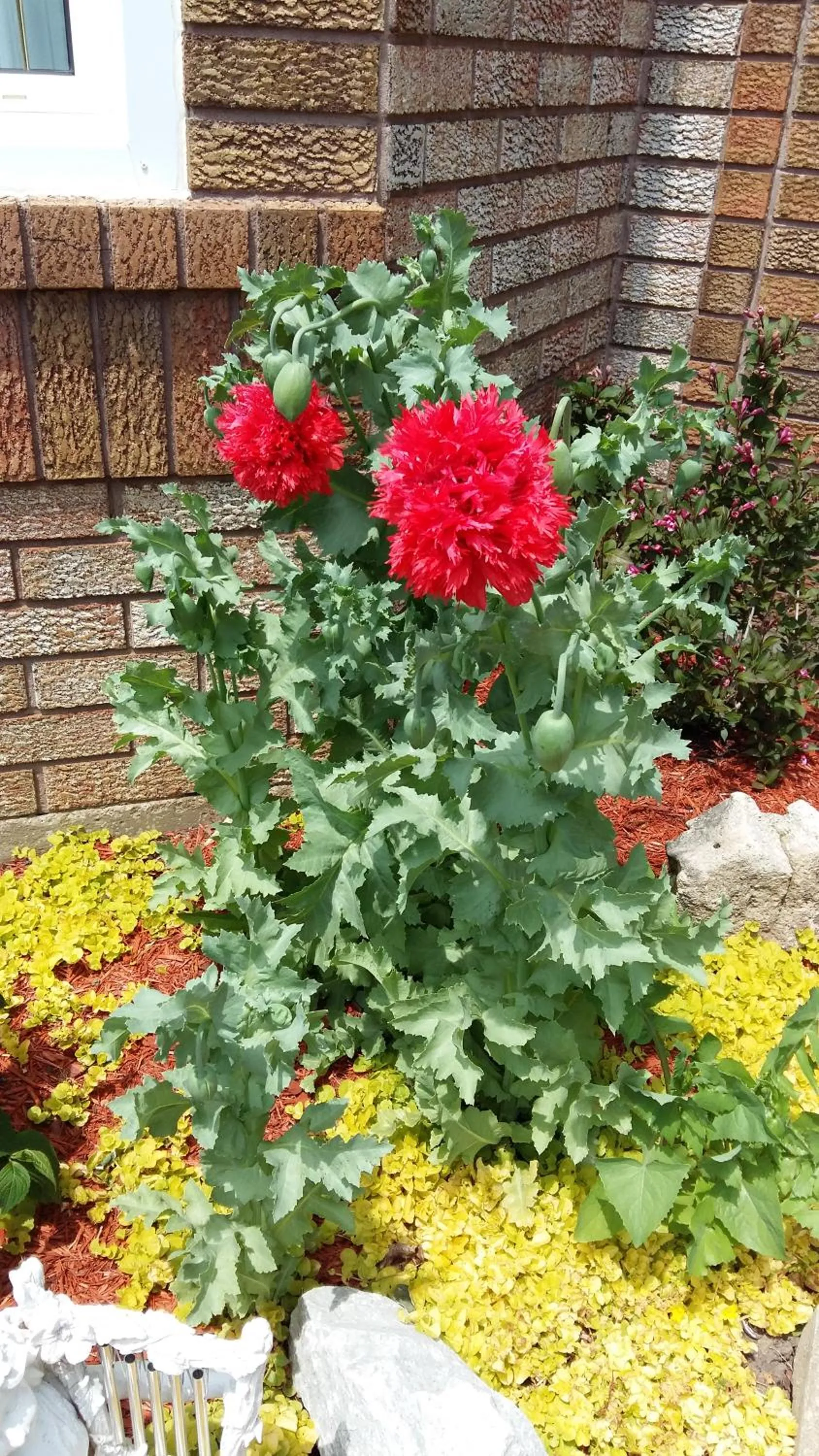 Facade/entrance in Molly's Retreat B and B