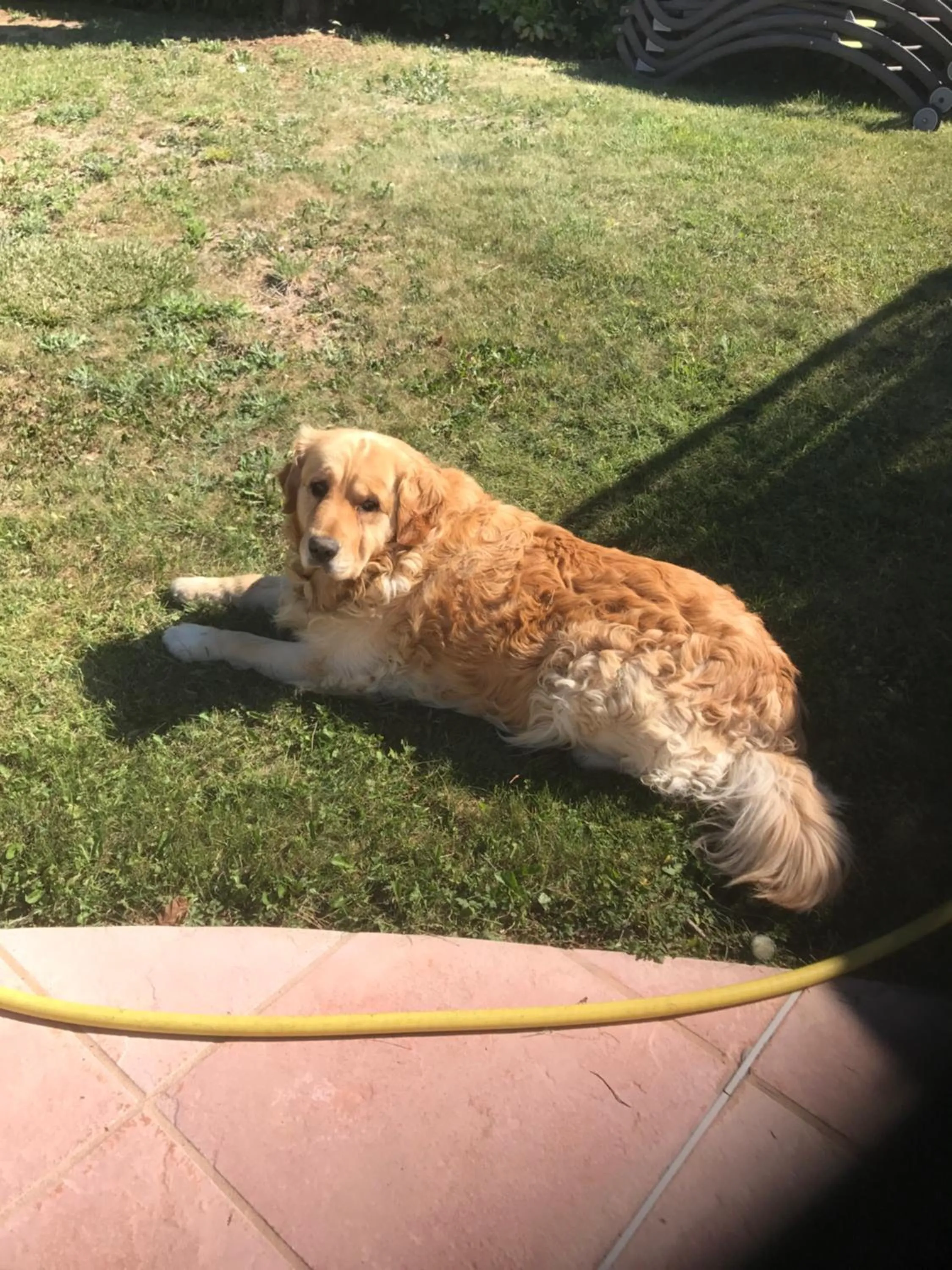 Animals in Les Secrets du Mistral