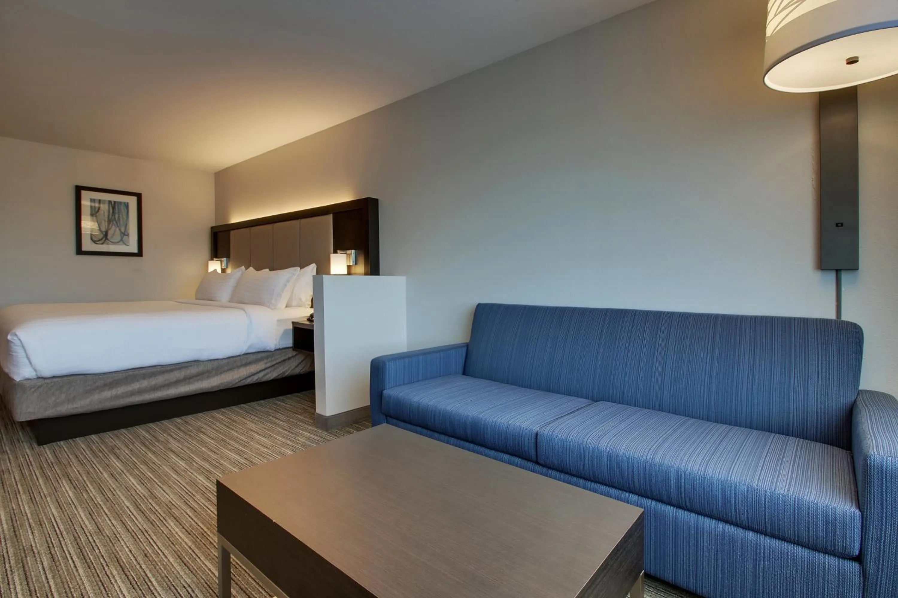 Photo of the whole room, Bed in Holiday Inn Express & Suites - Mount Vernon by IHG