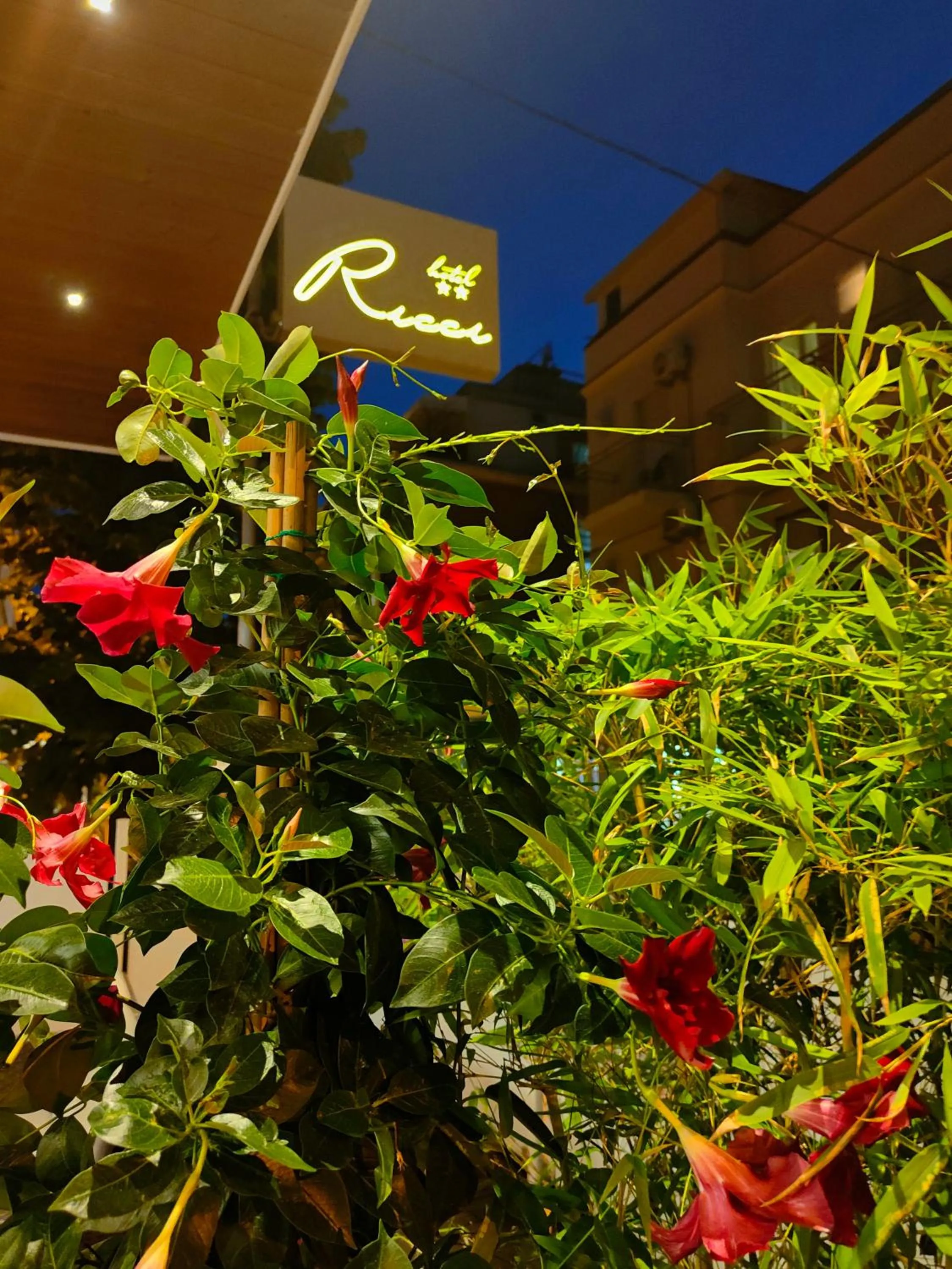 Property building in Hotel Ricci