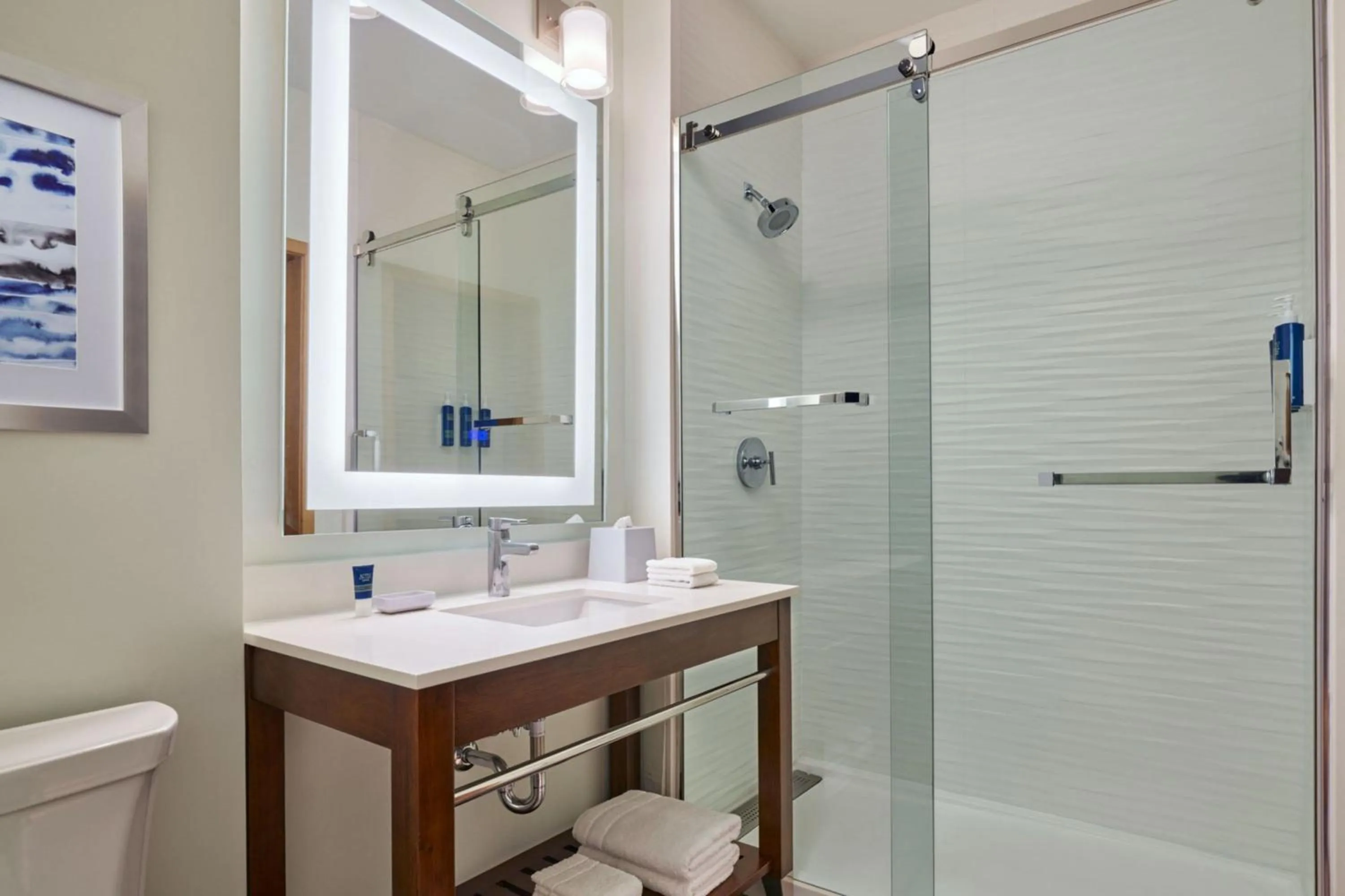 Bathroom in Four Points by Sheraton Houston Intercontinental Airport