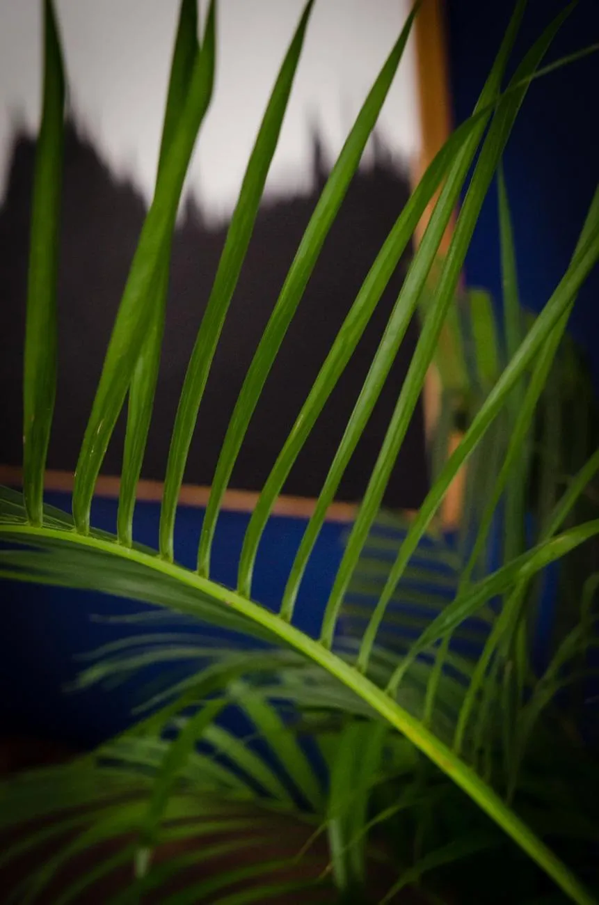 Decorative detail in The Royal Guest House