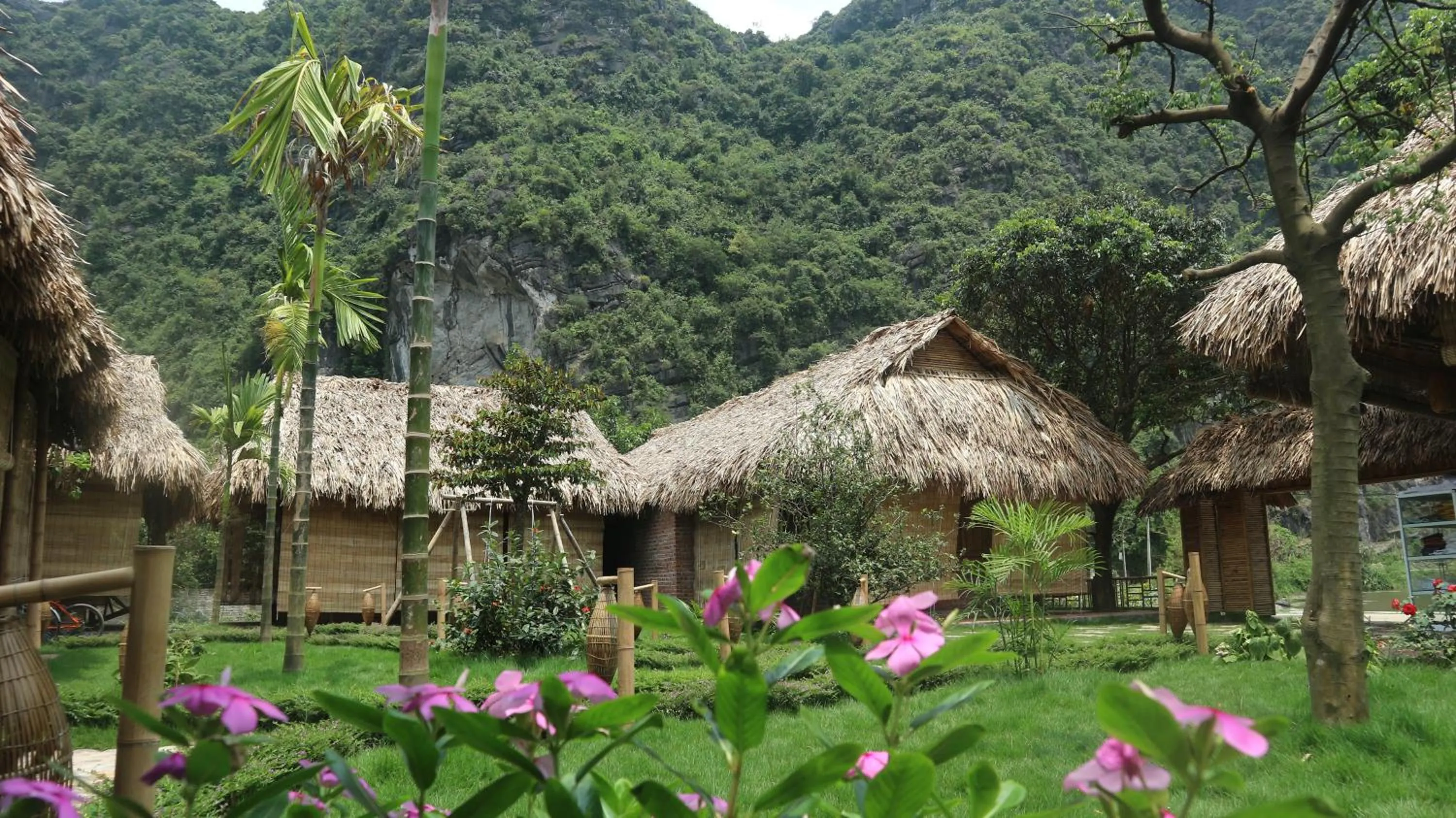 Garden in Quoc Khanh Bamboo Homestay