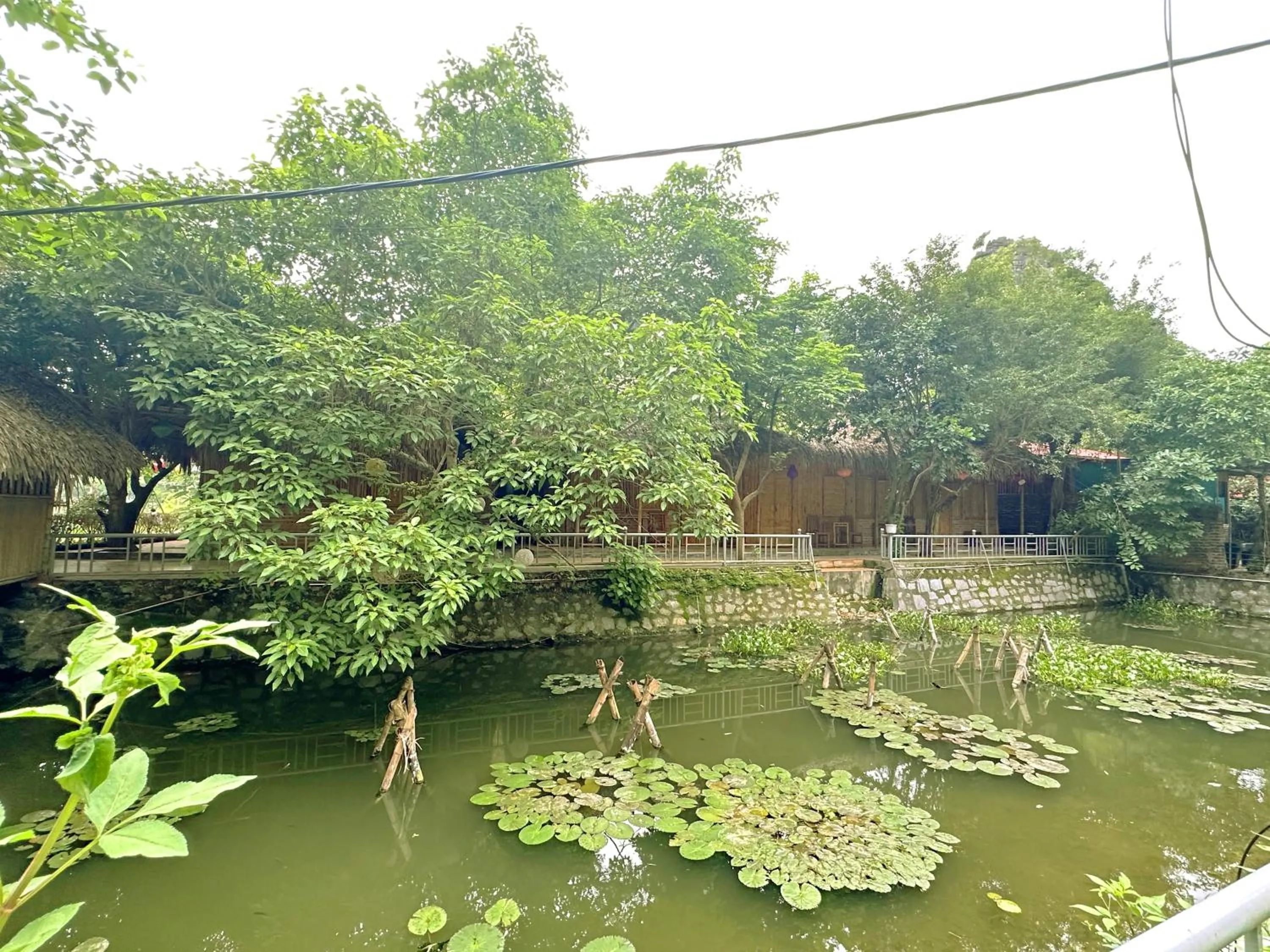 Lake view in Quoc Khanh Bamboo Homestay