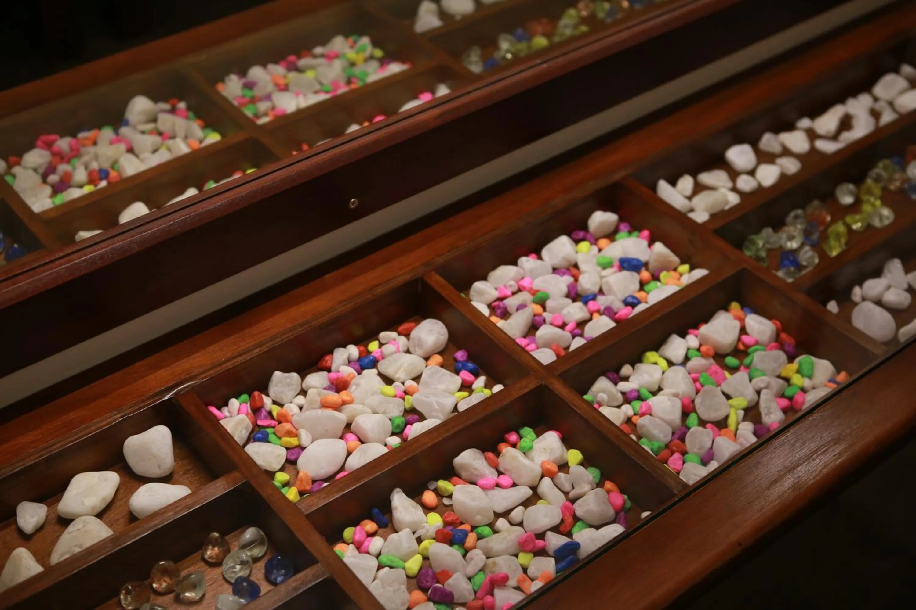 Area and facilities in Cozy Sea view Inn