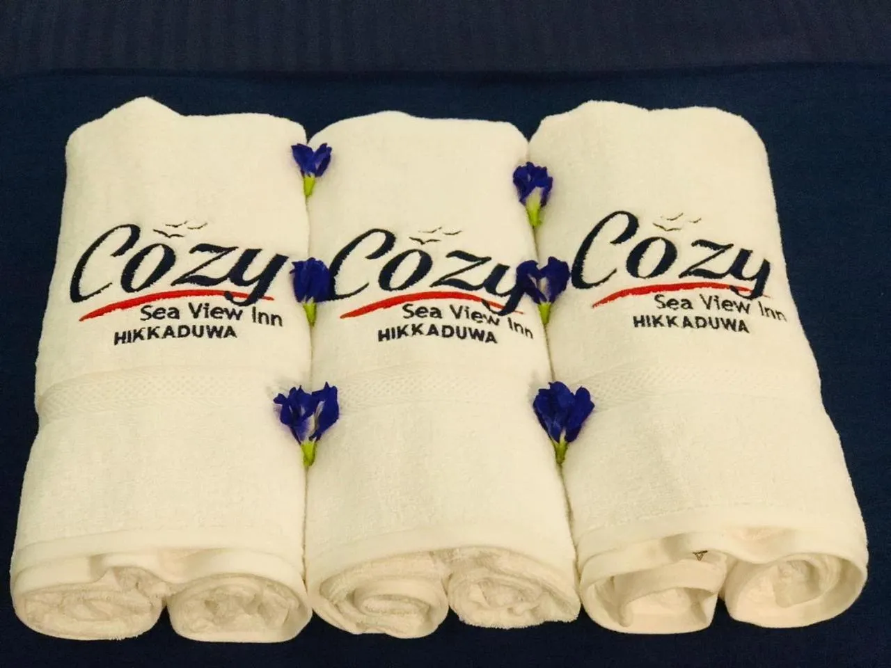 towels in Cozy Sea view Inn