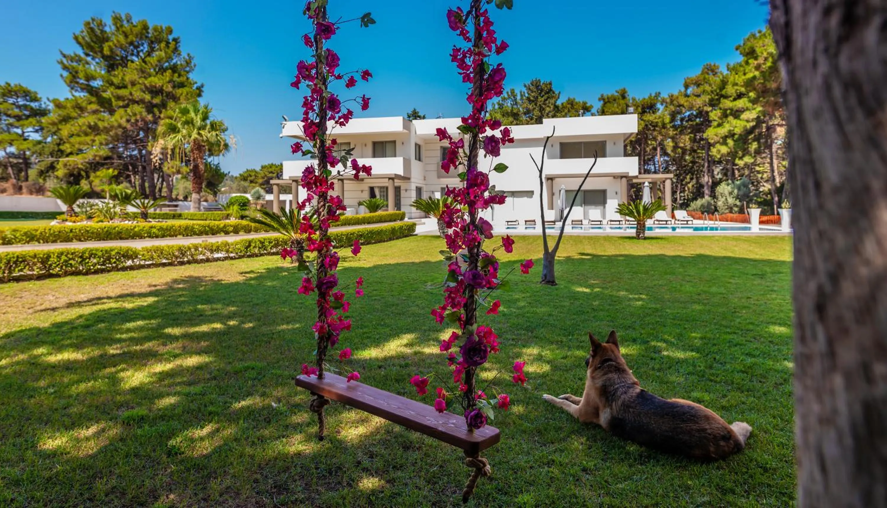 Garden in Bella Foresta Villa