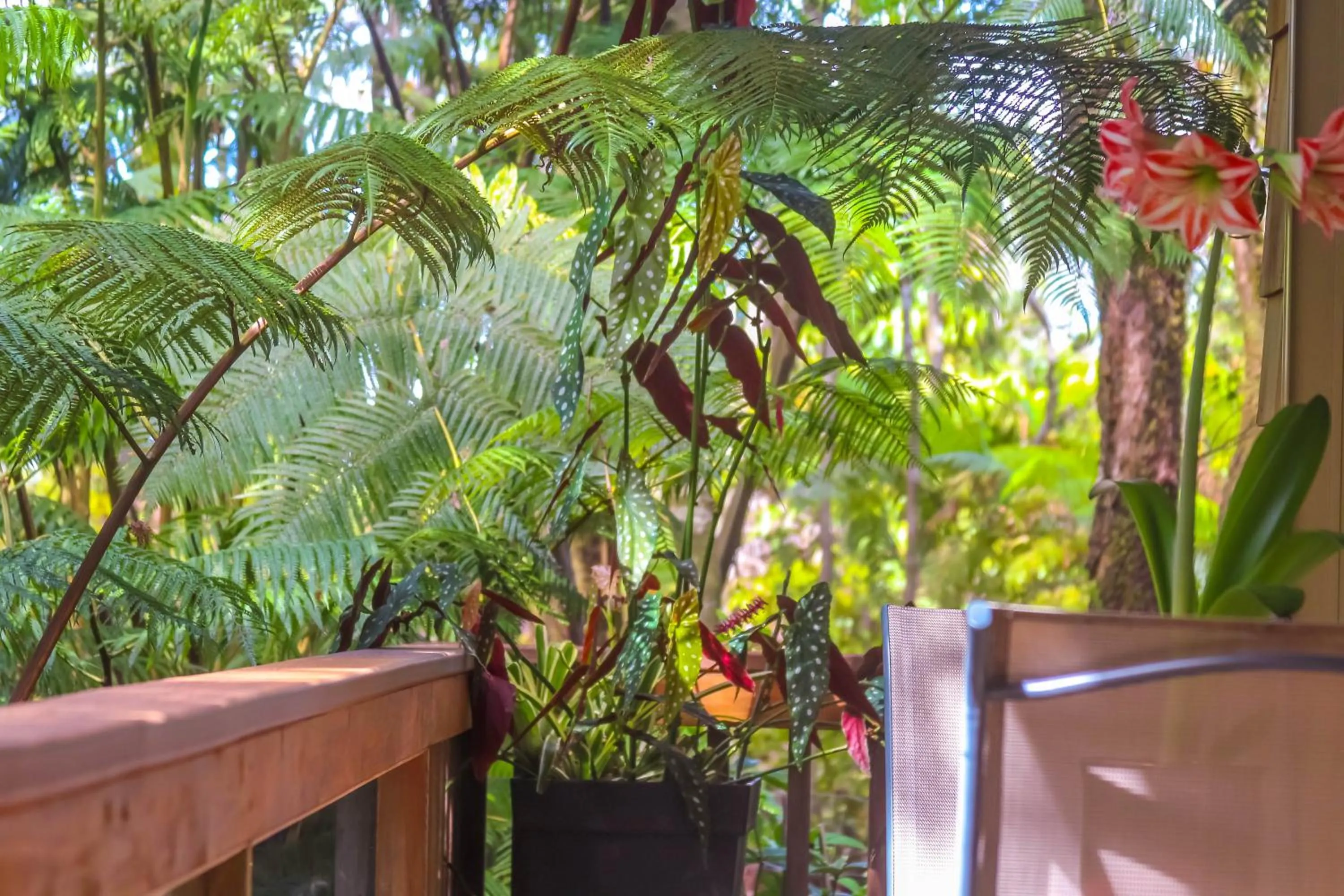 Balcony/Terrace in At the Craters Edge