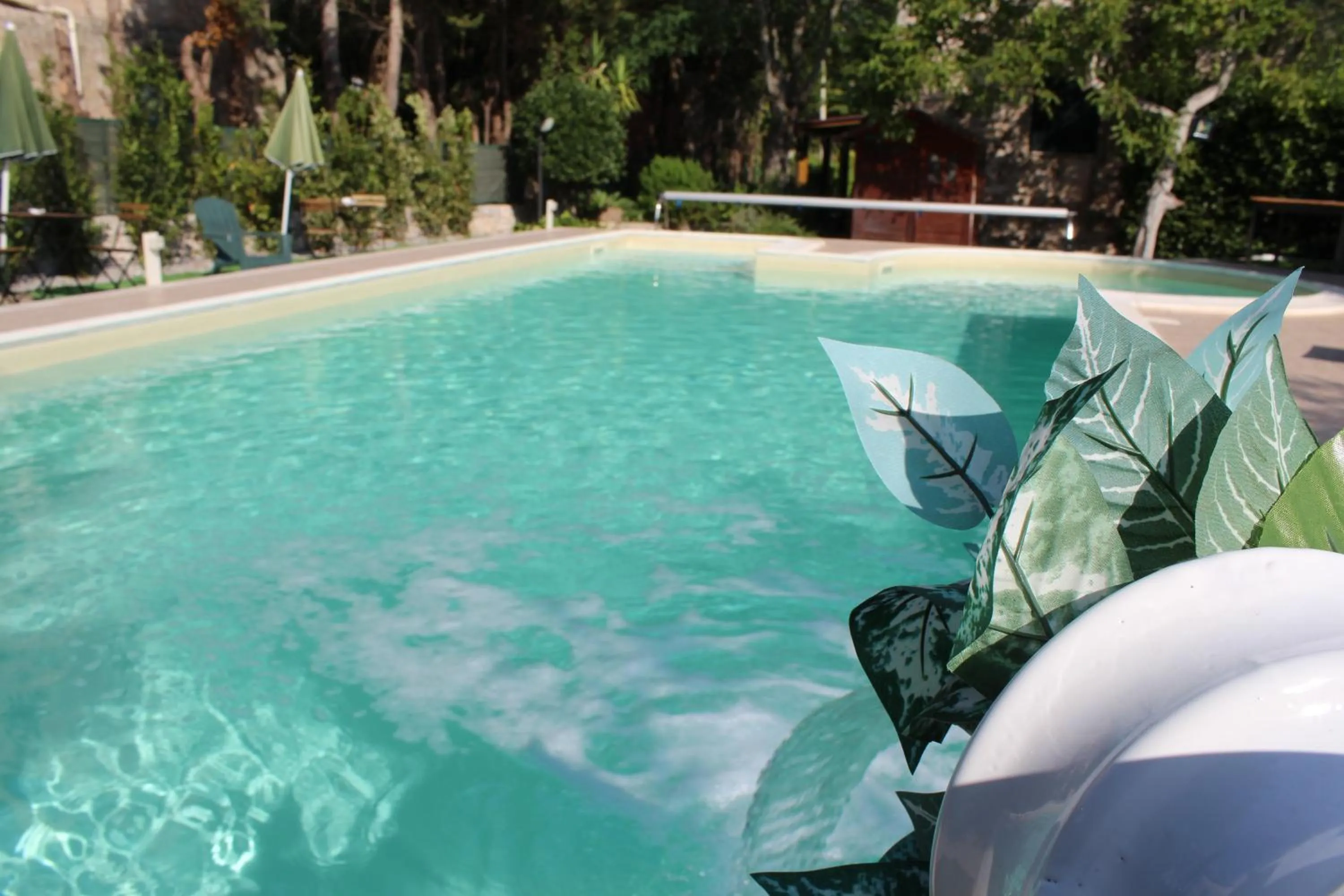 Swimming pool in Domus Relax